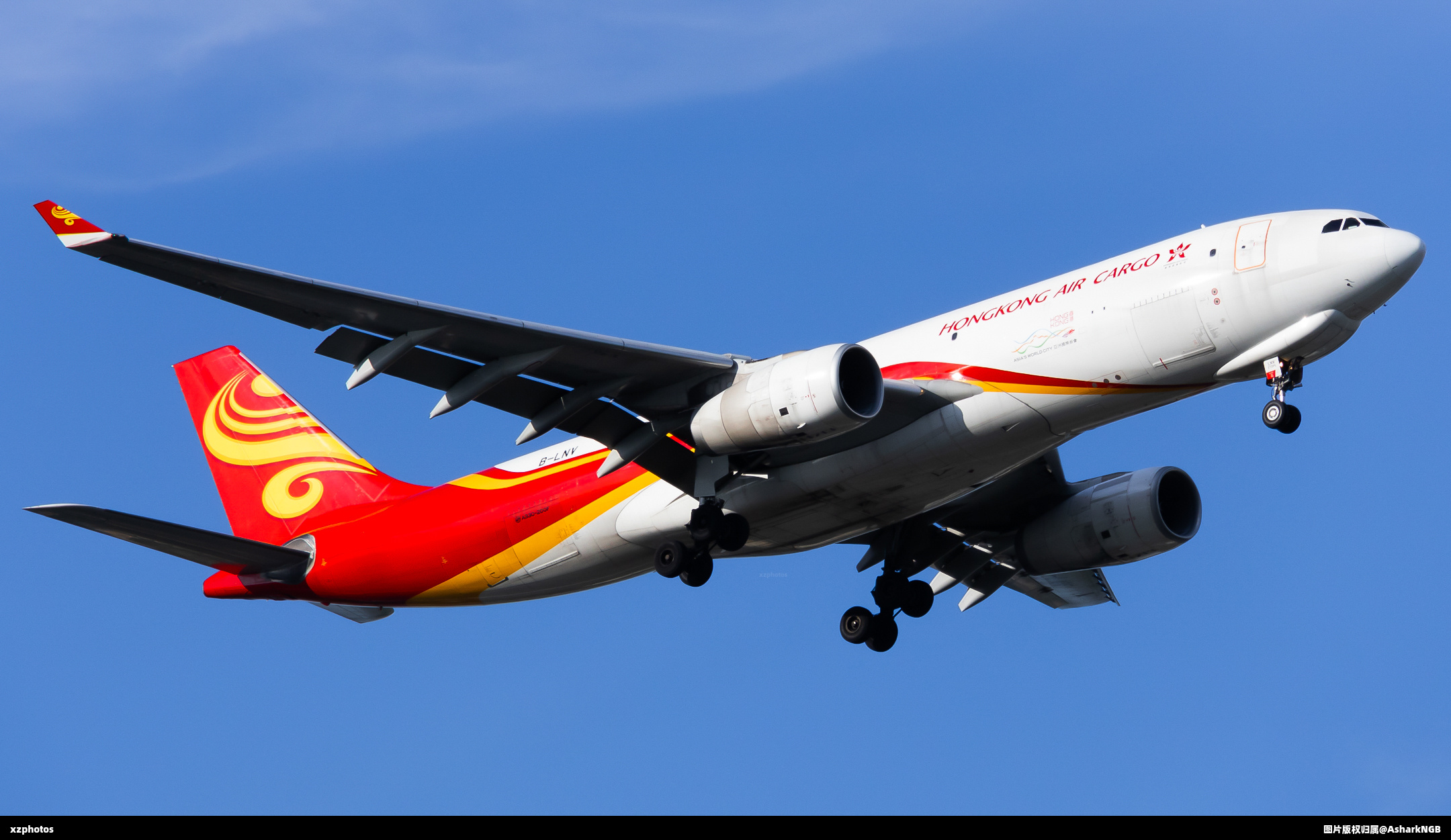 B-LNY