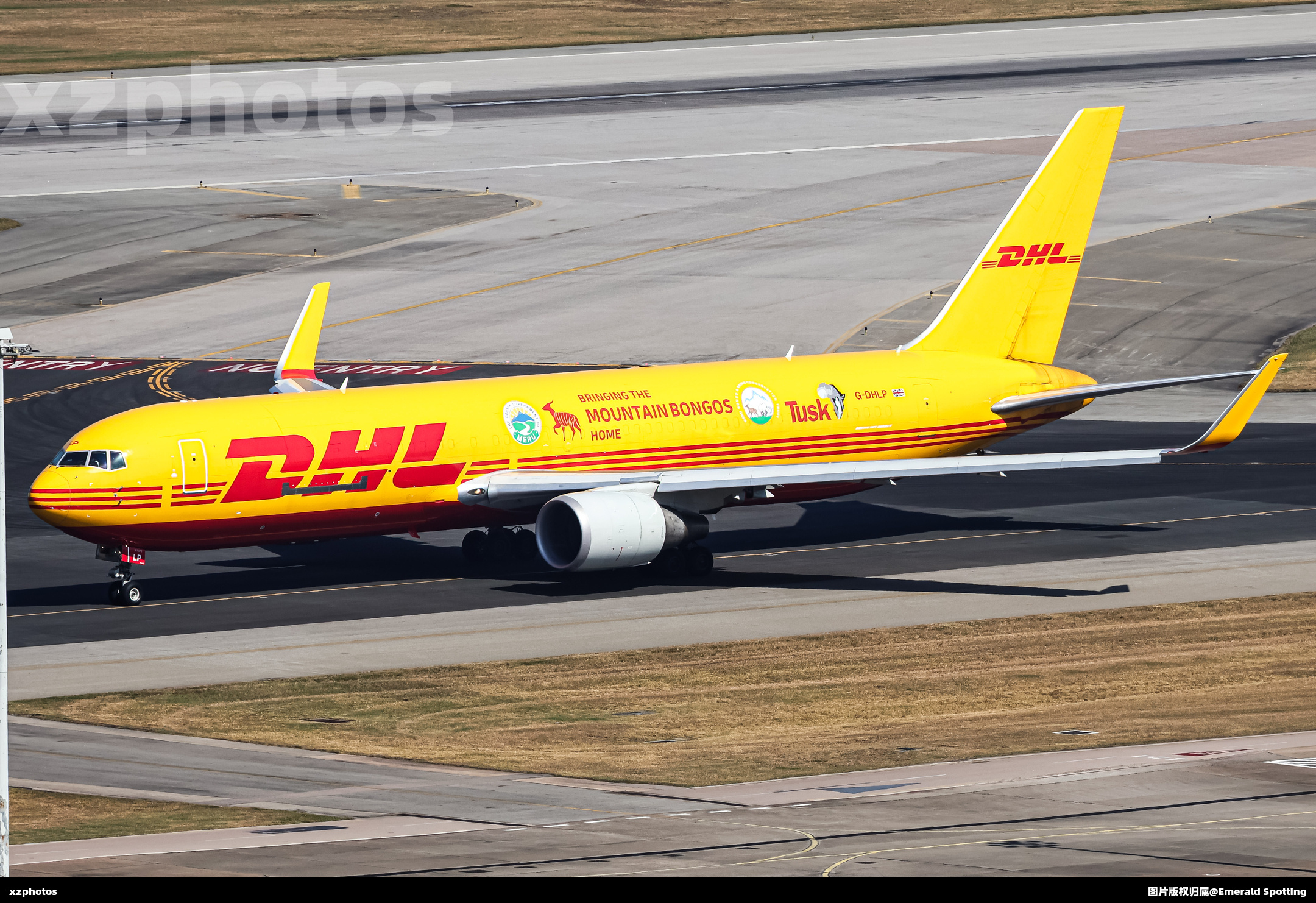 G-DHLP