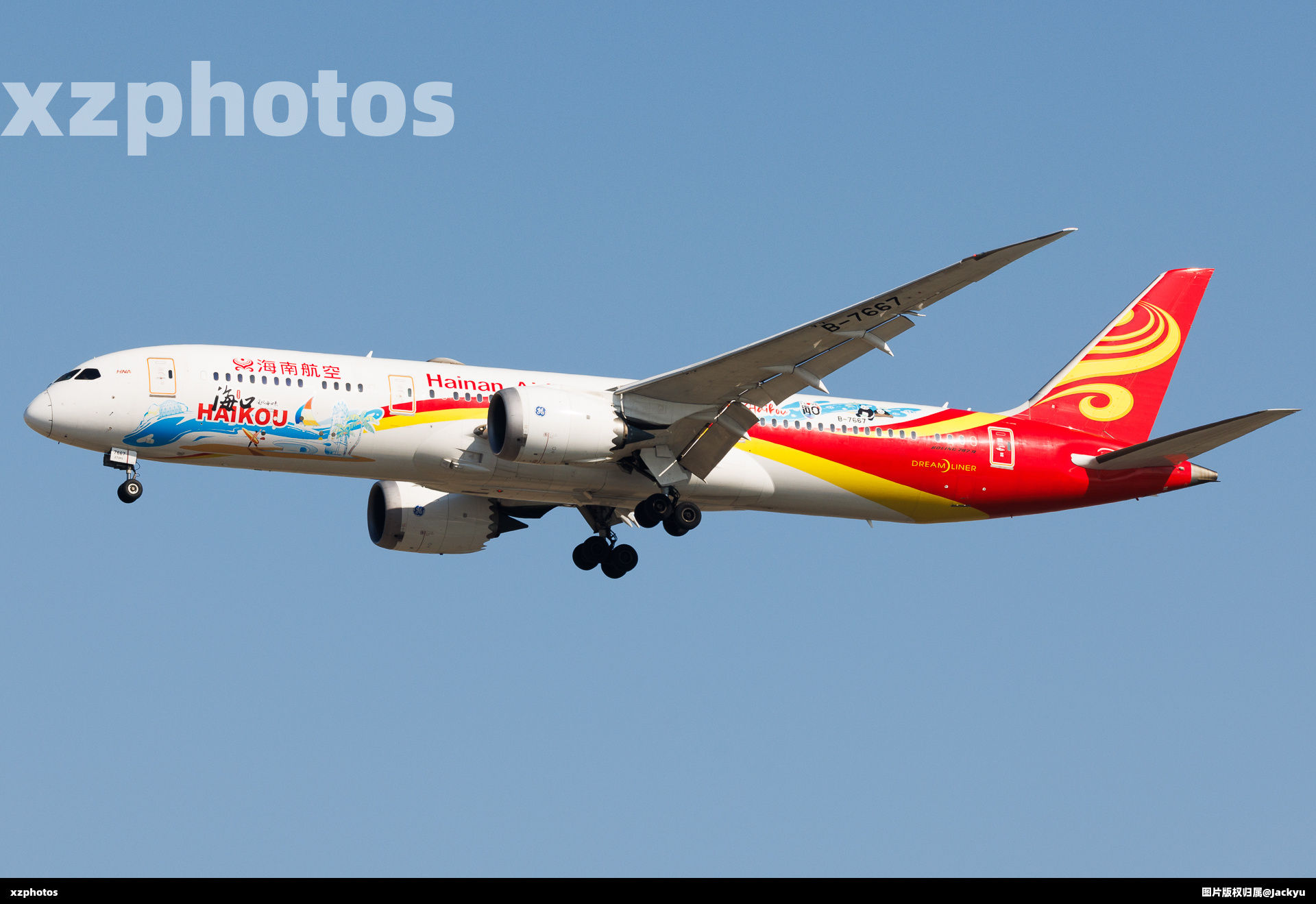 B-7667