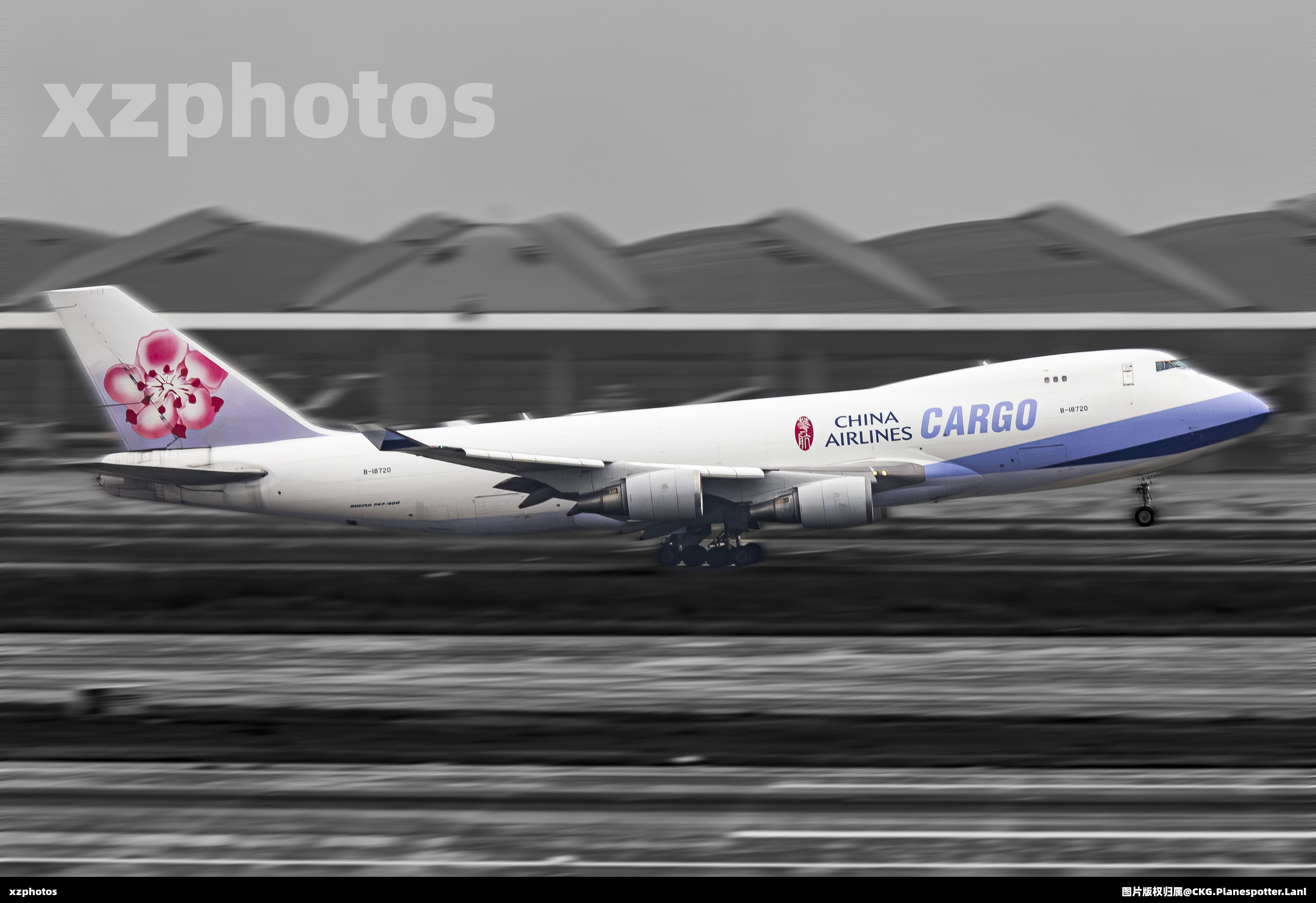 CI CARGO