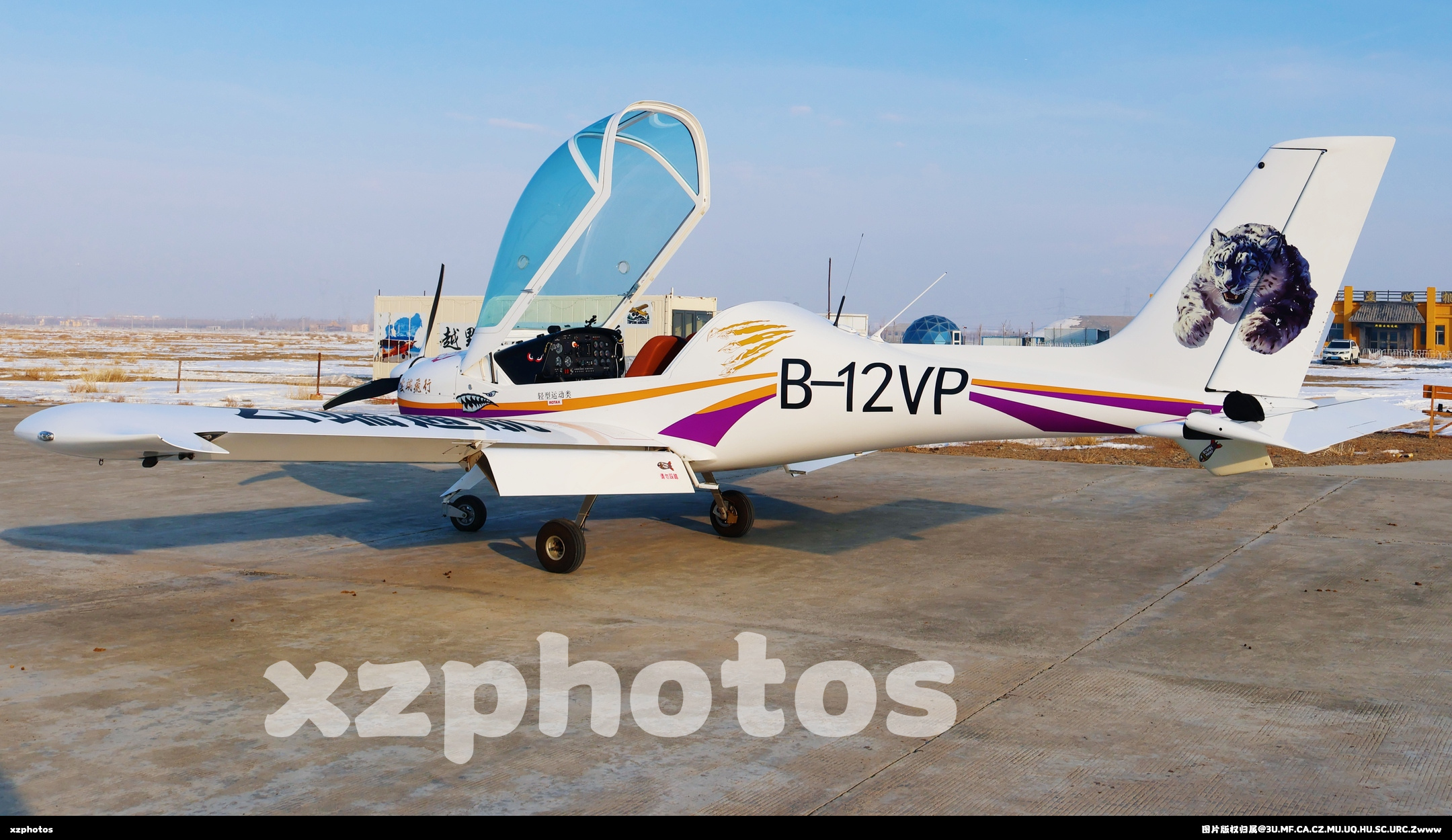 B-12VP
