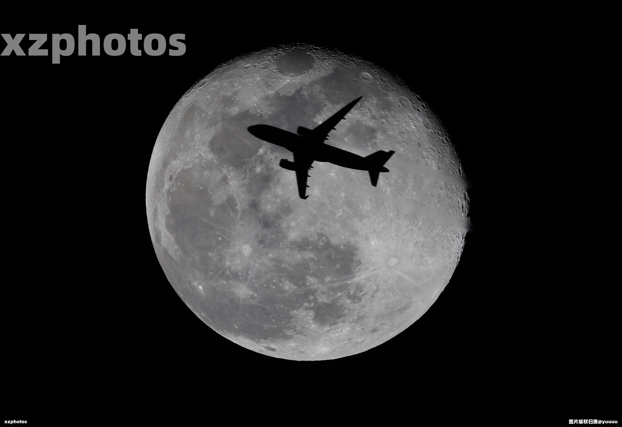 飞月