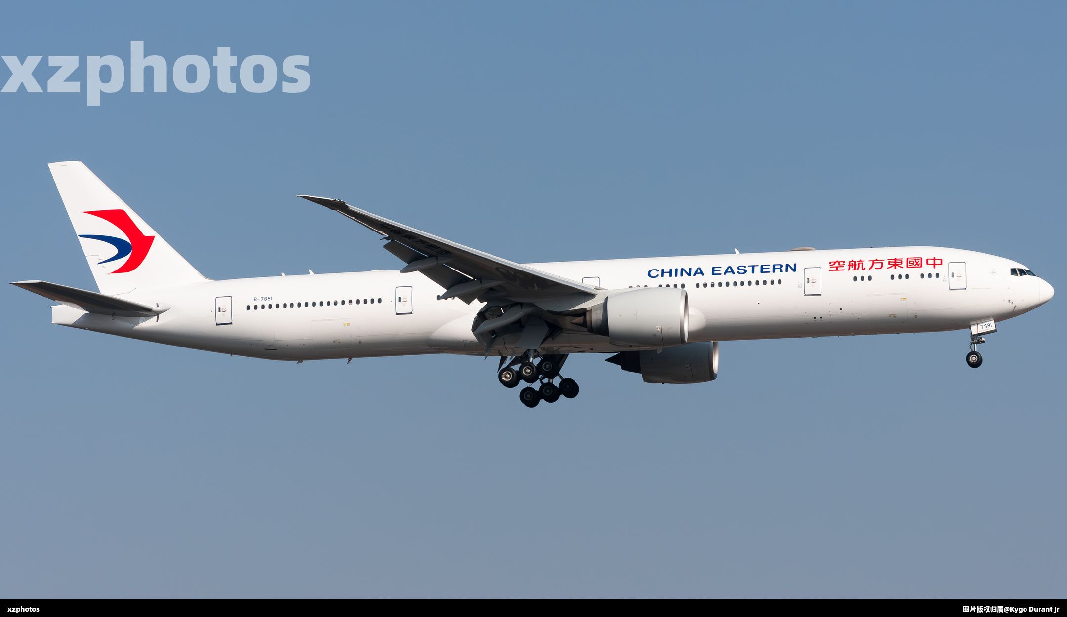 B-7881