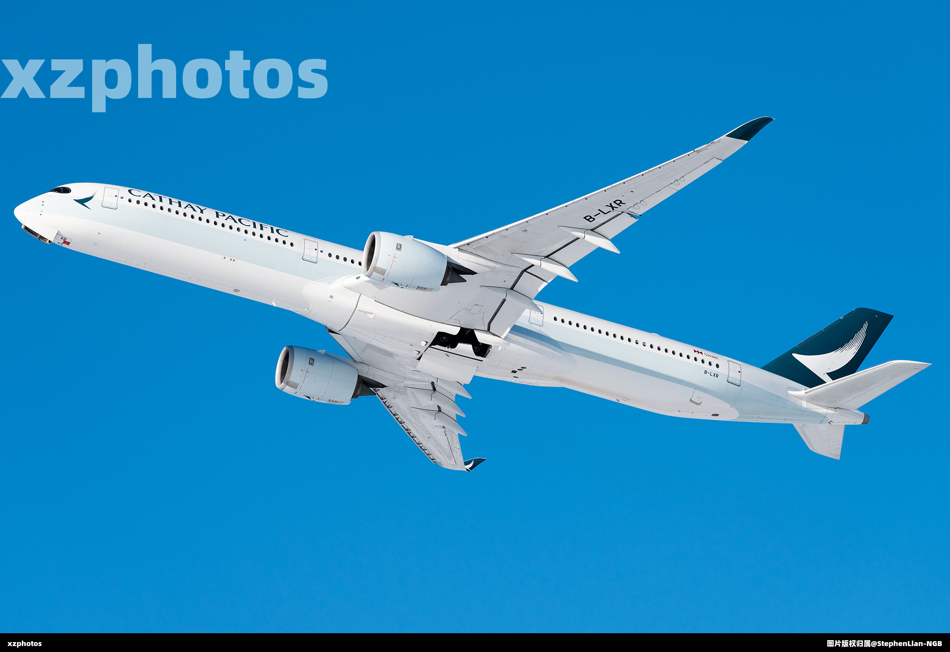 B-LXR