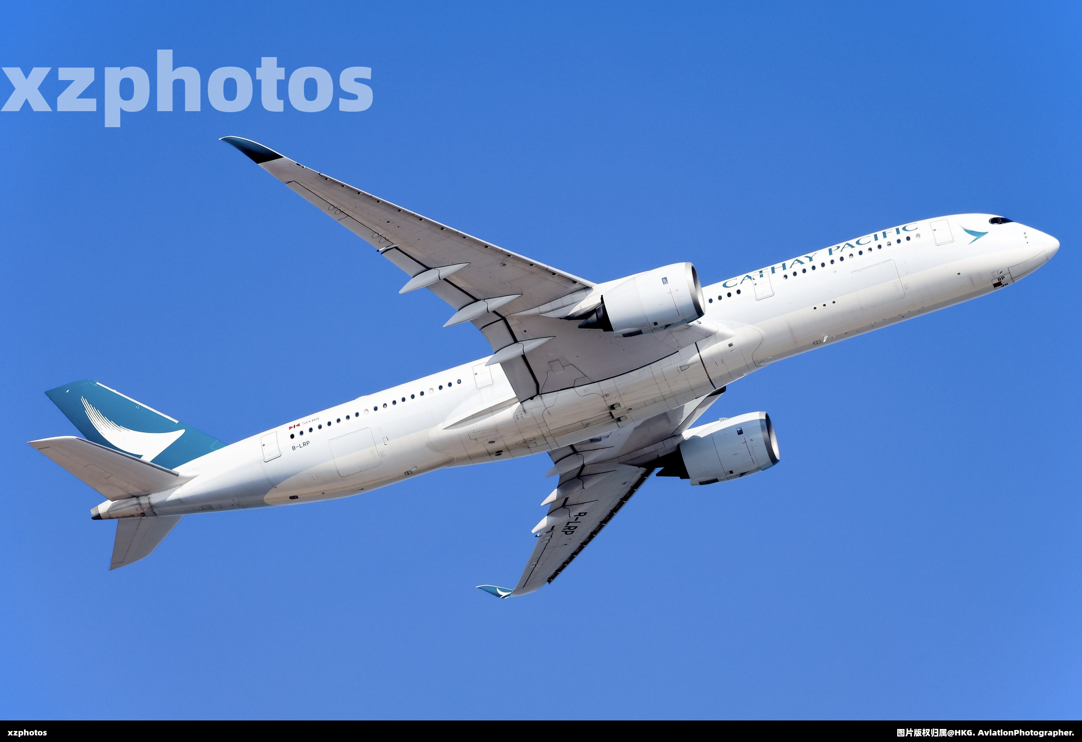 B-LRP