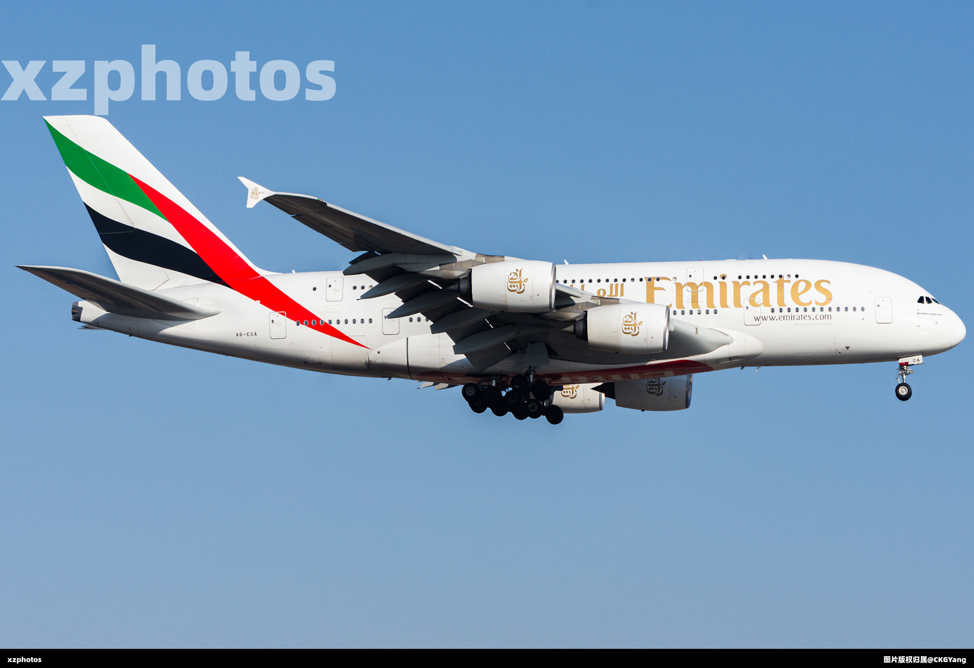 A6-EOA