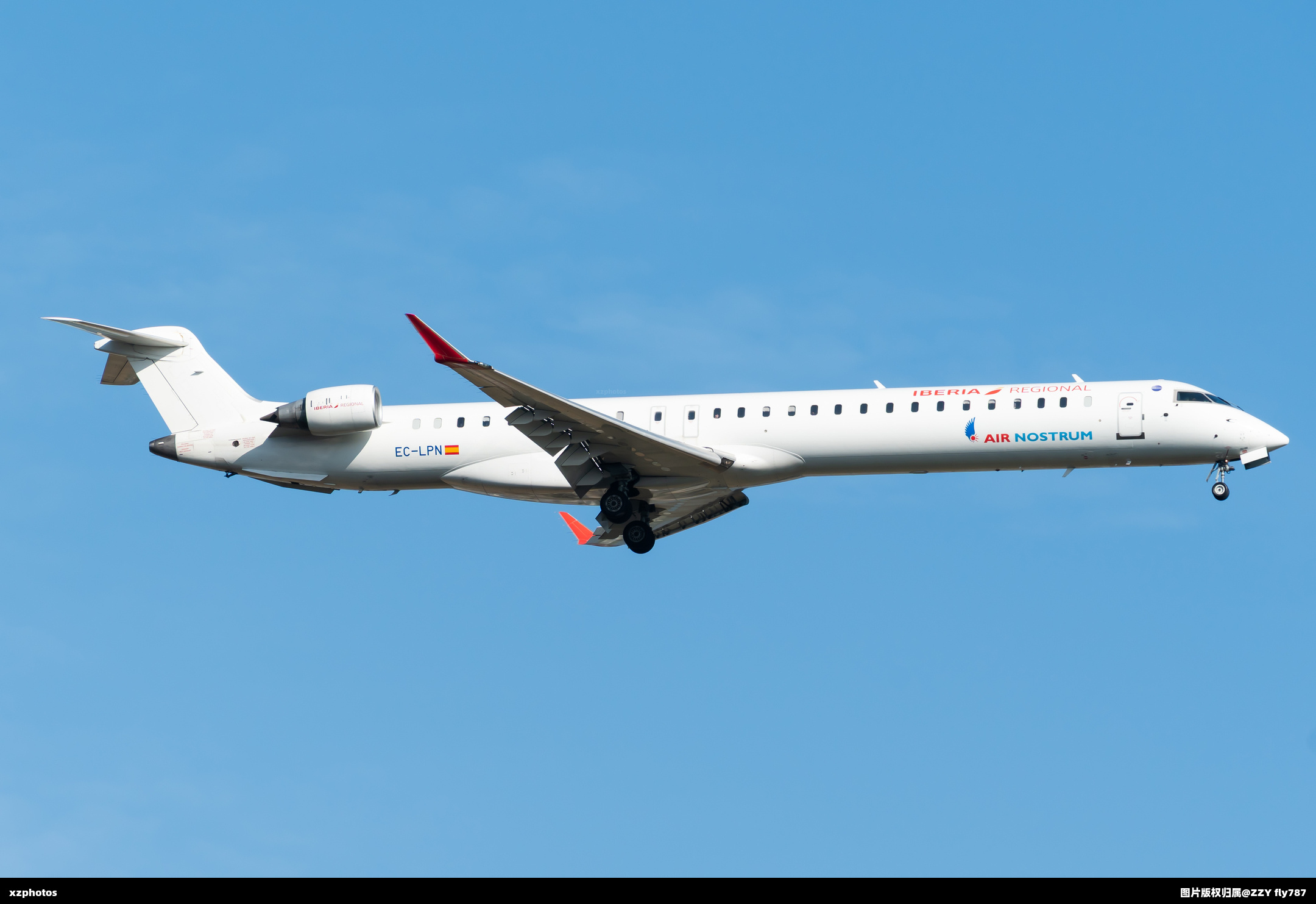 EC-LPN