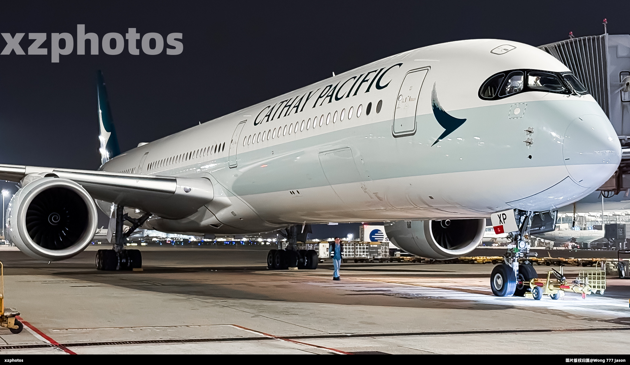 B-LXP