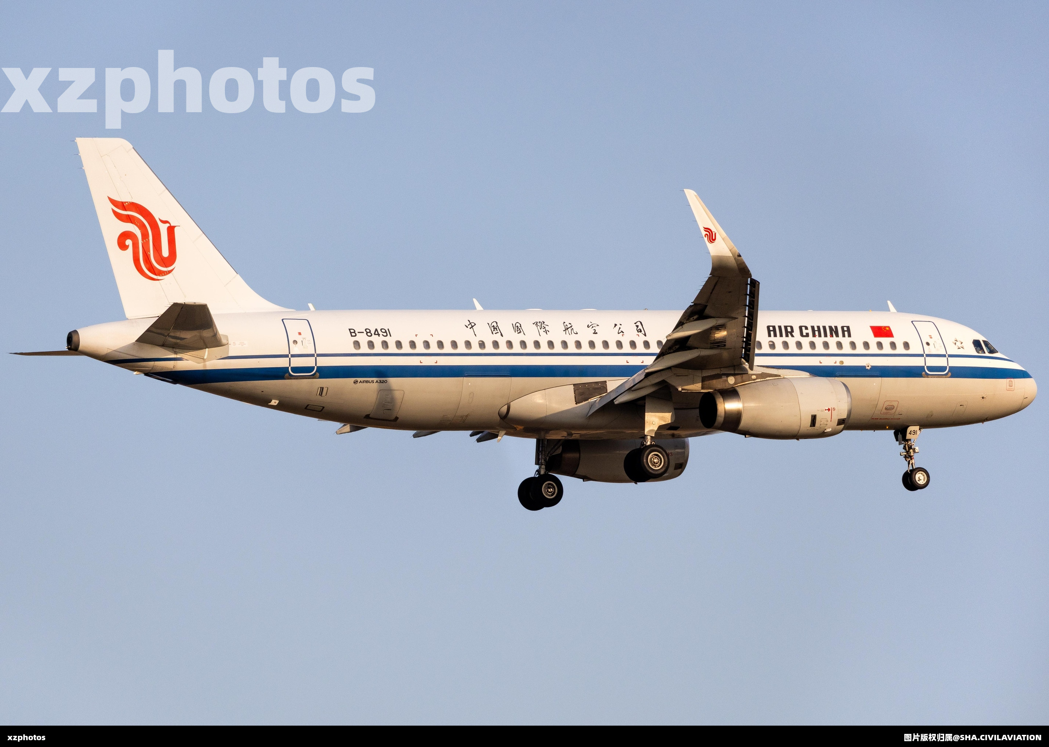 B-8491