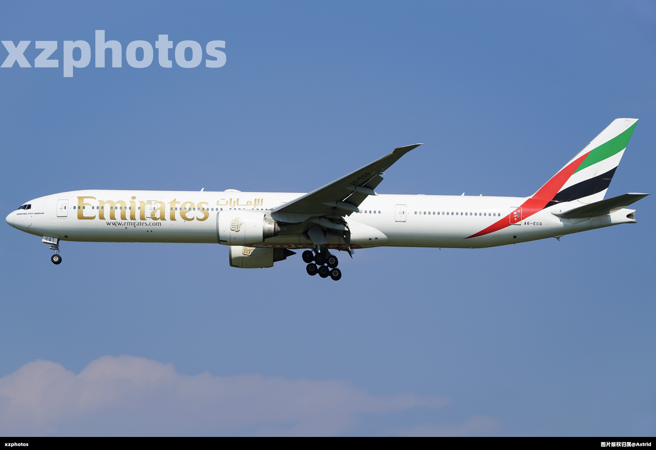 A6-ECQ