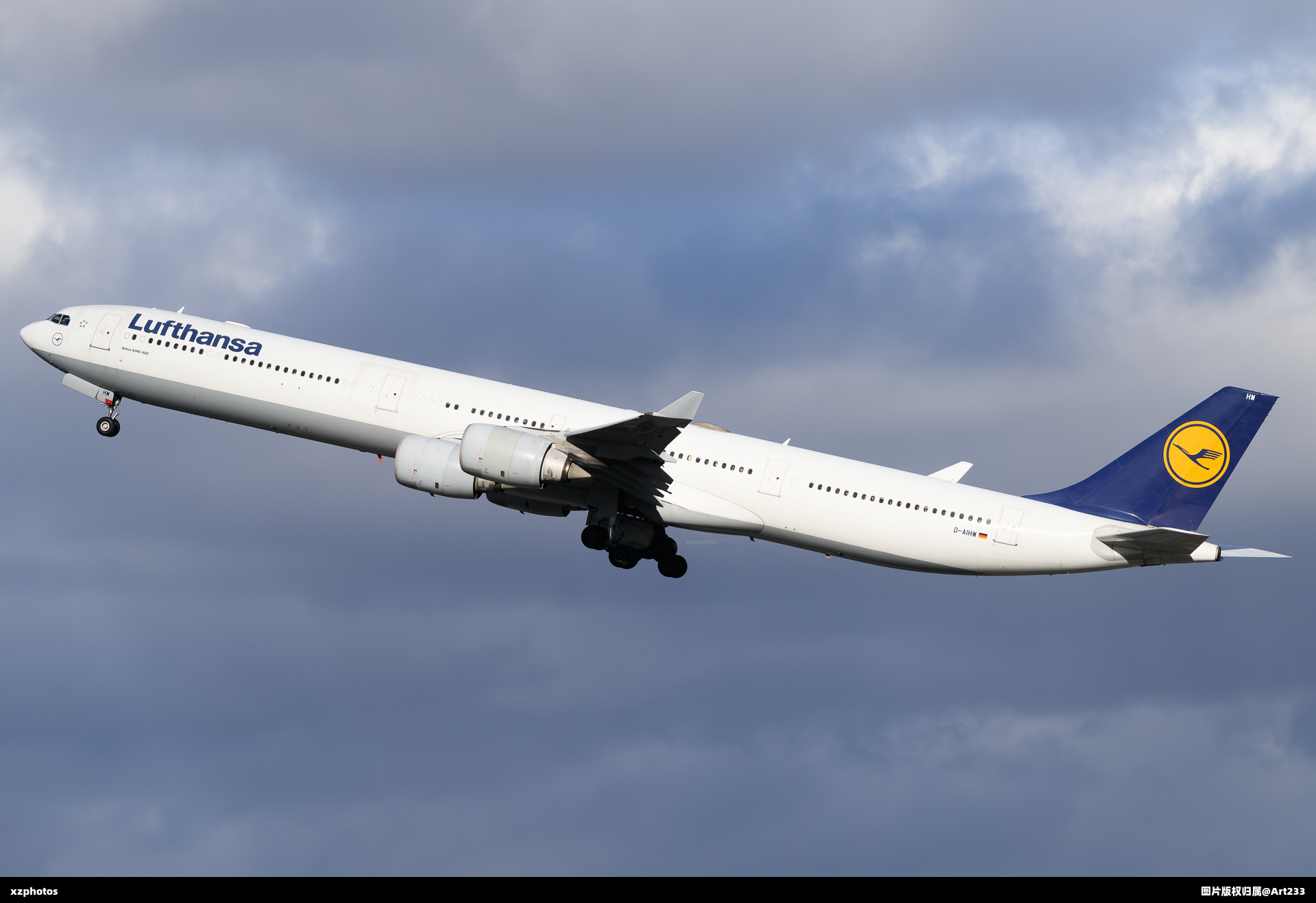 D-AIHW