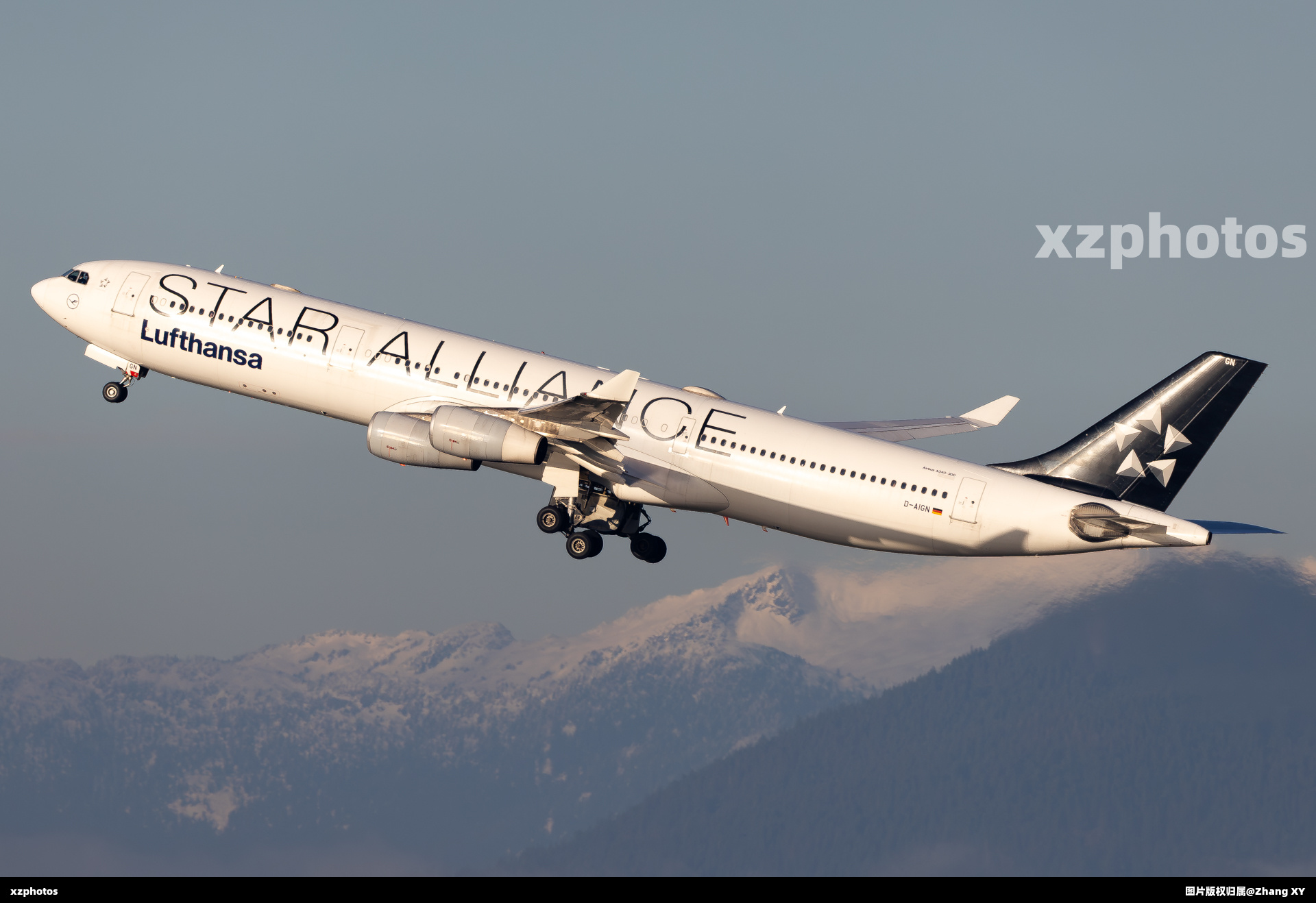 D-AIGN