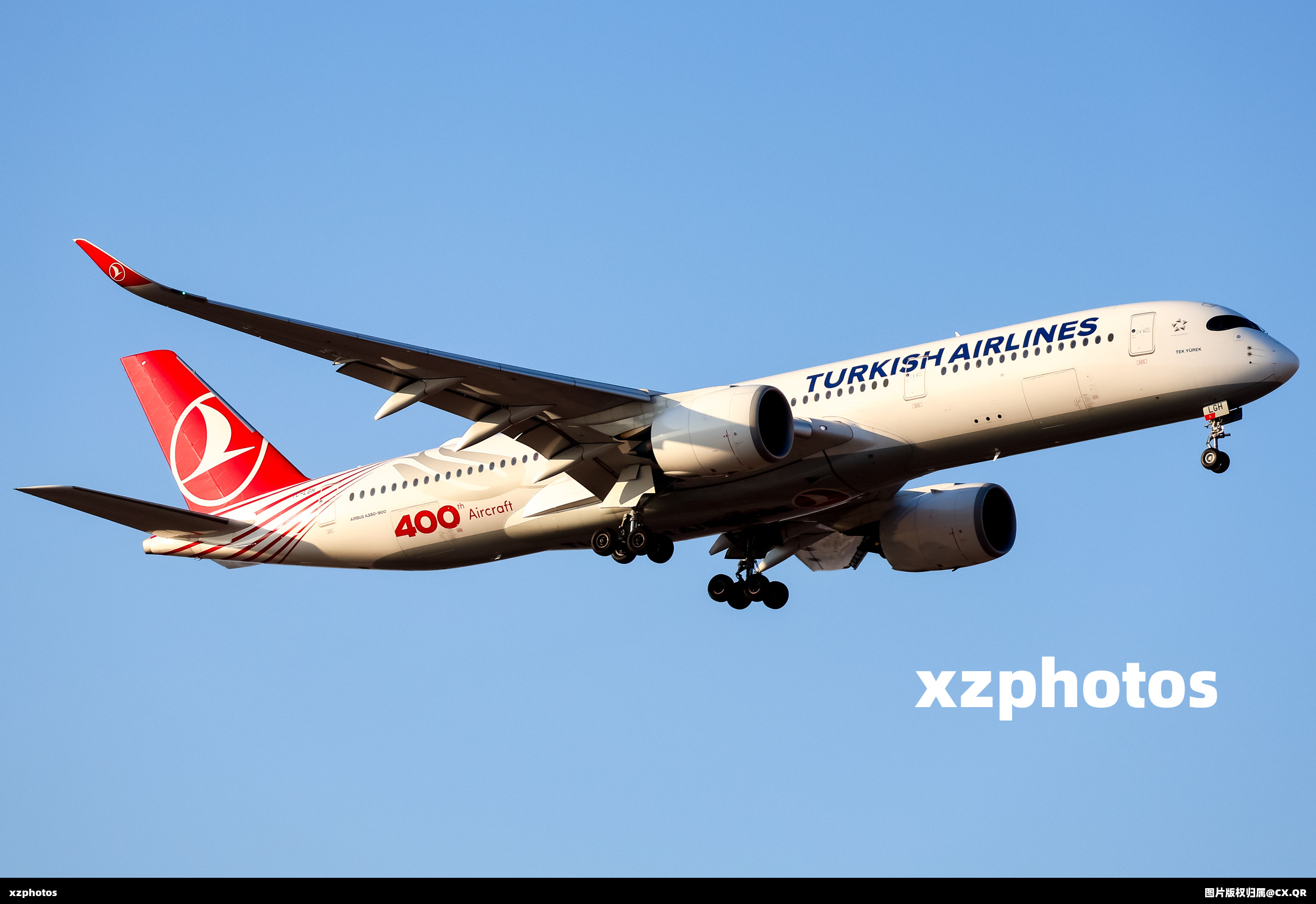 TC-LGH
