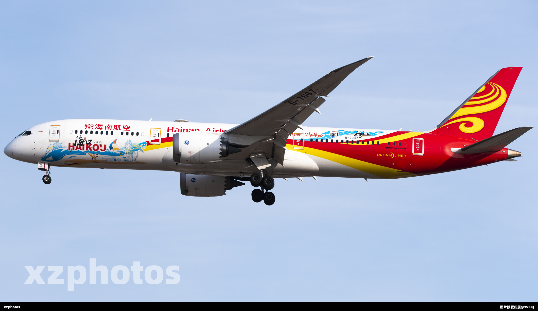 B-7667