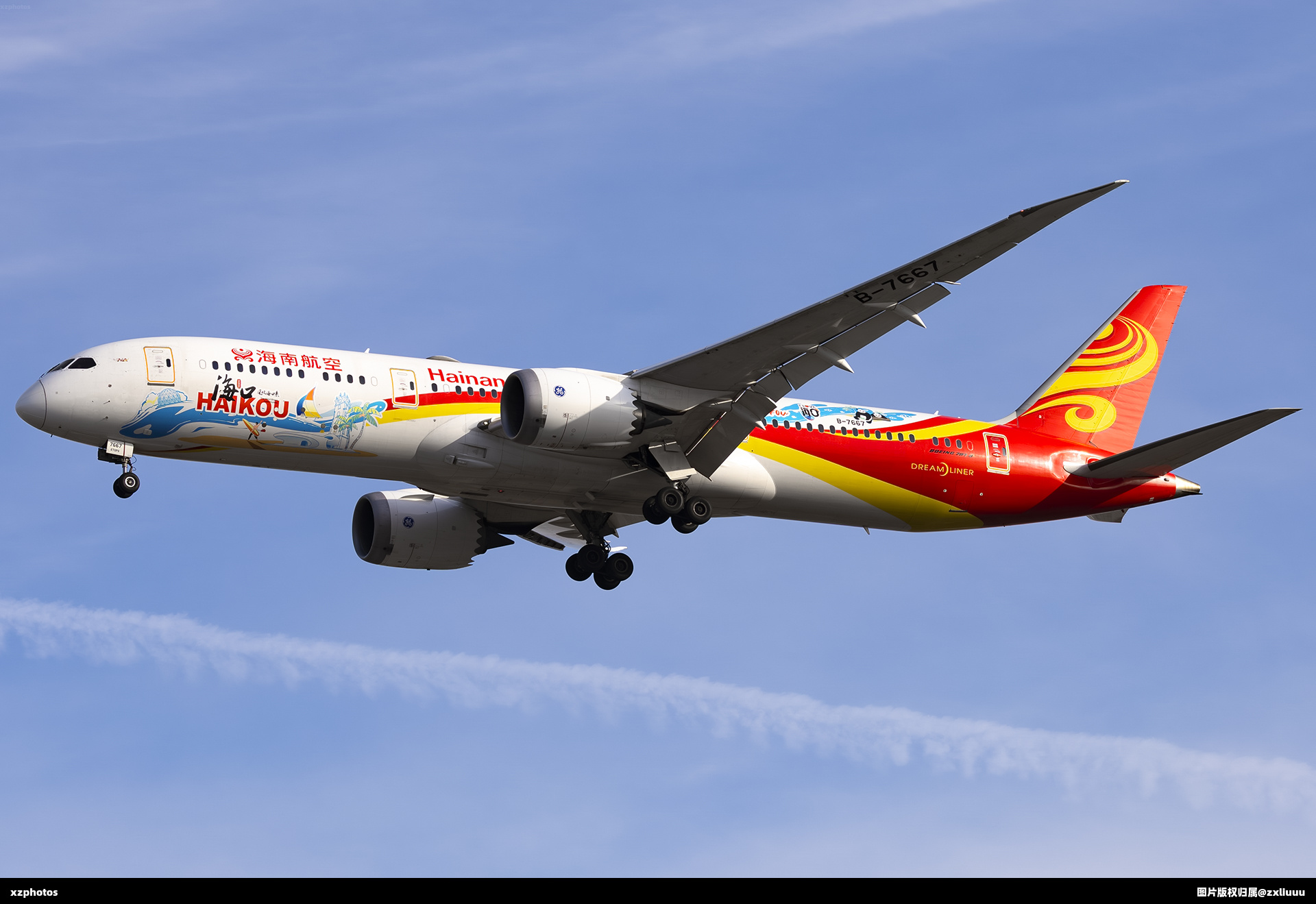 B7667
