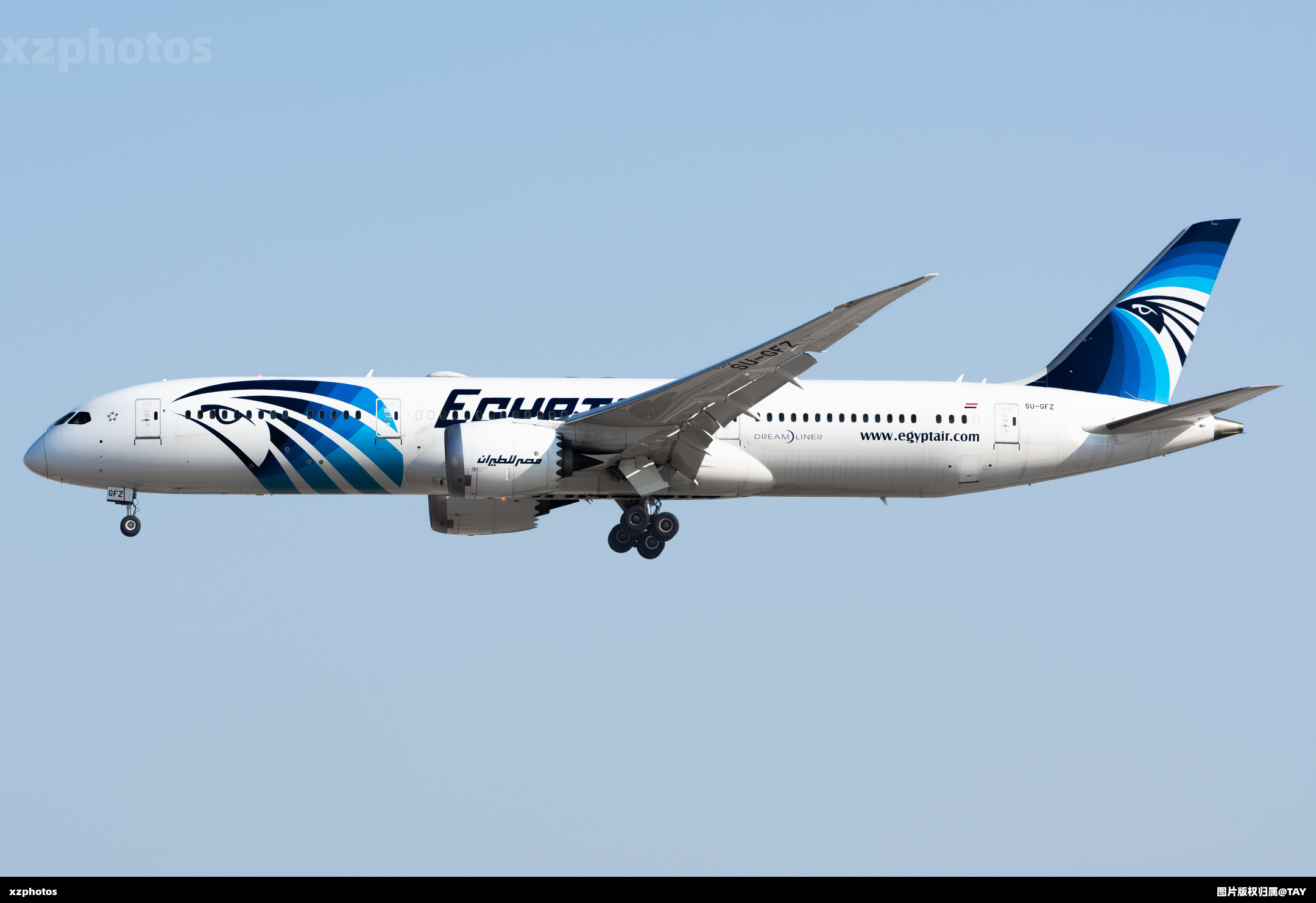 法老787