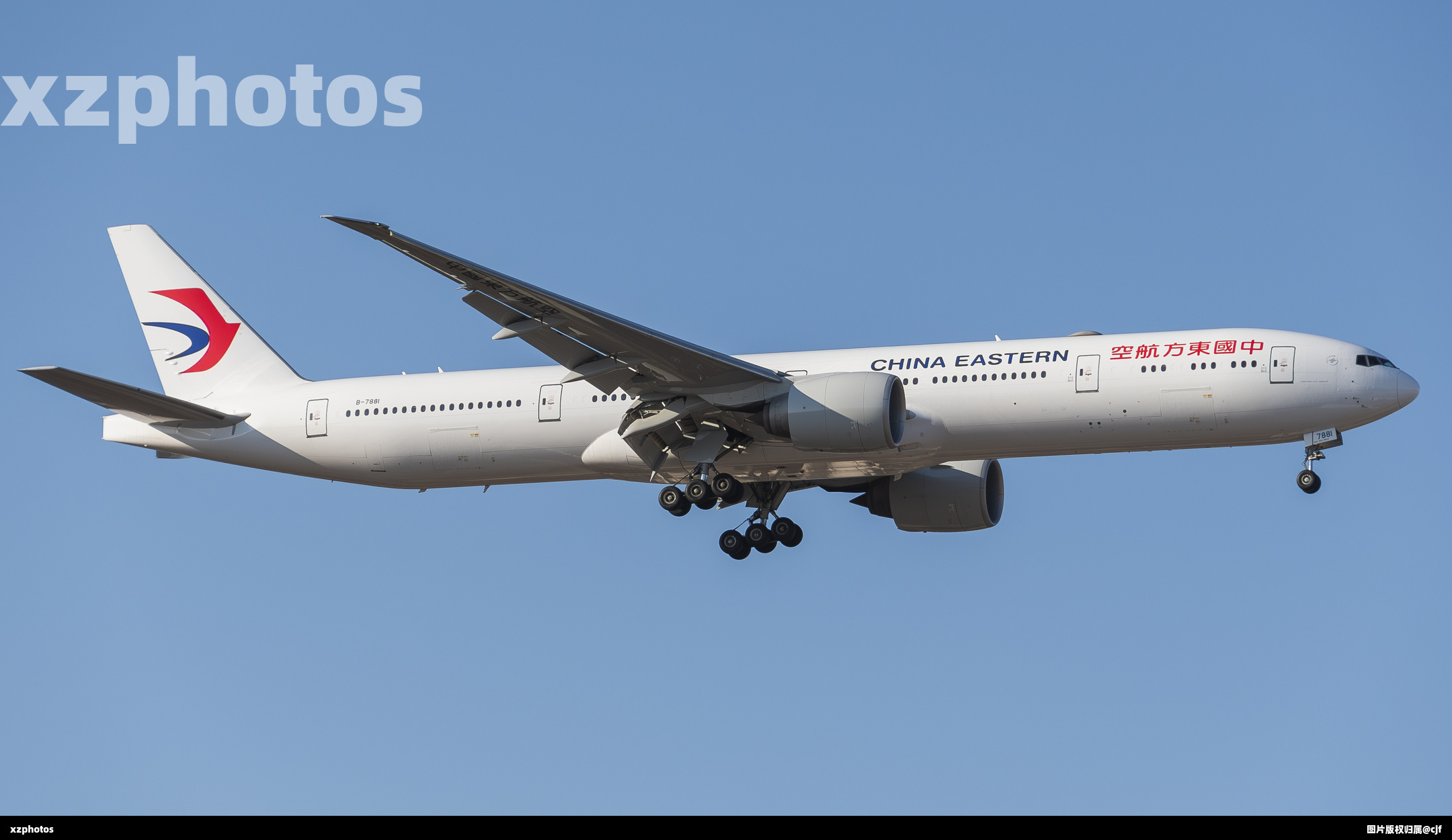 B-7881