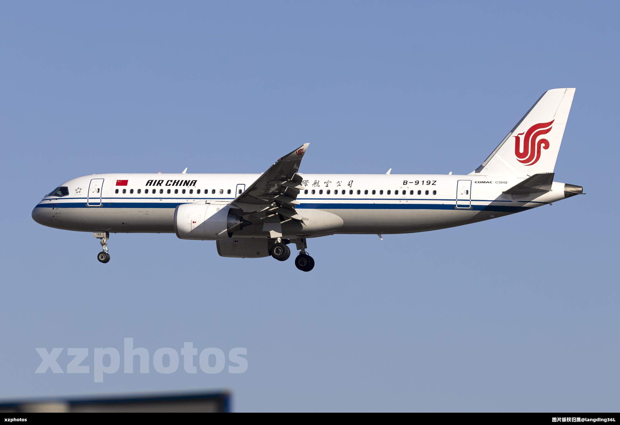 B-919Z
