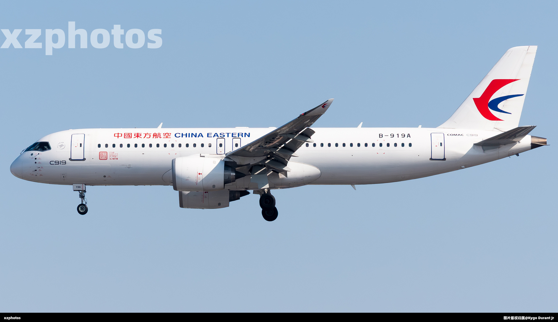 B-919A