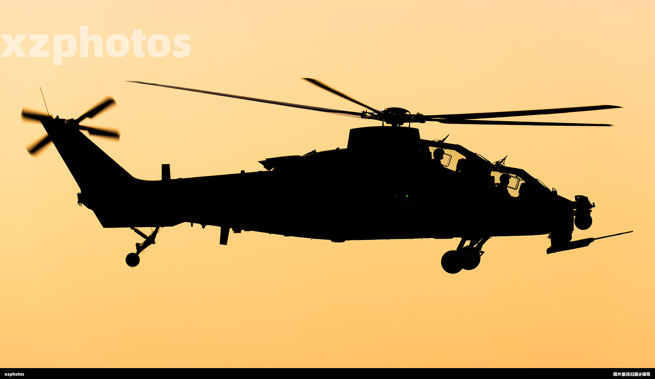 WZ-10