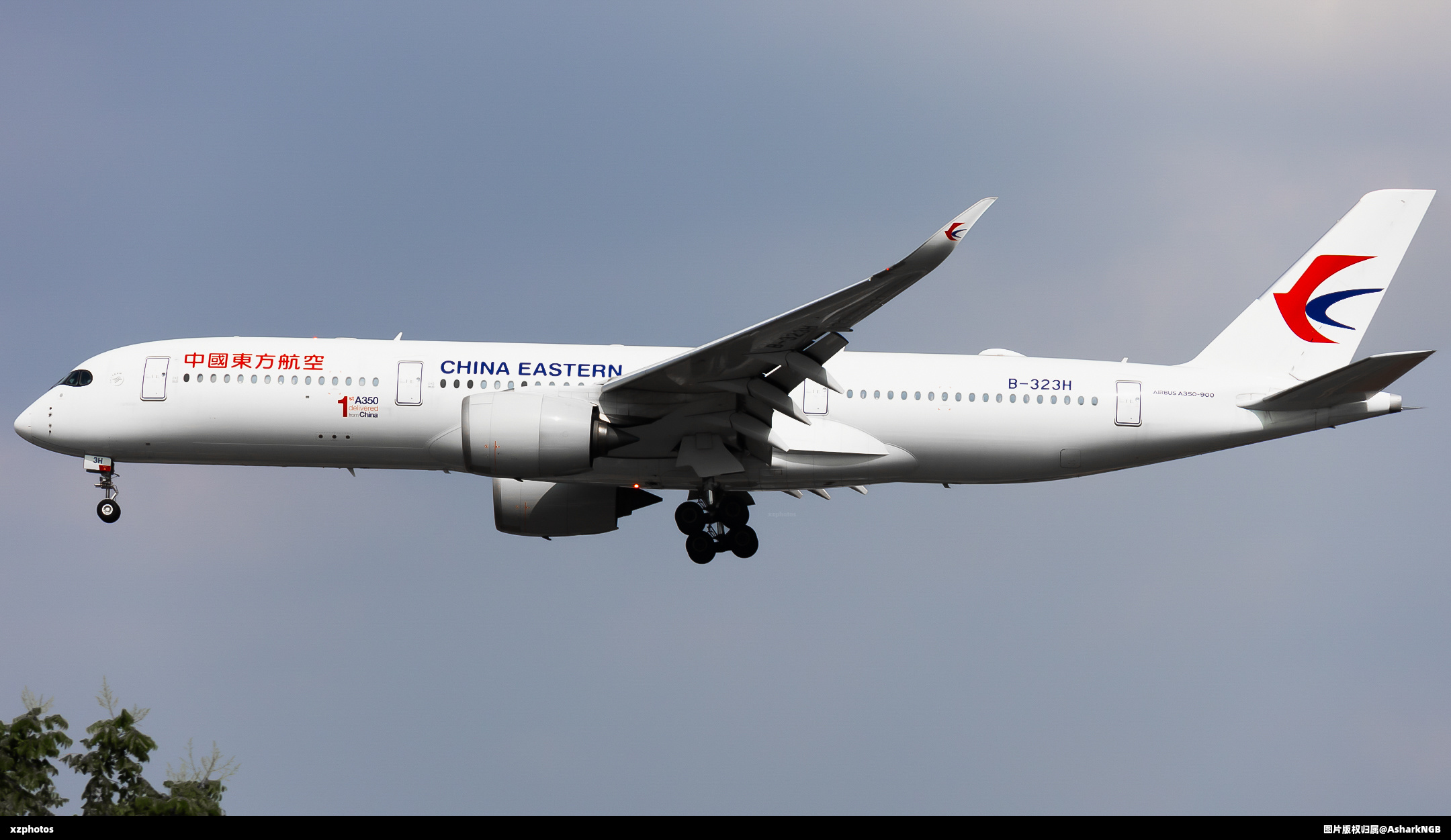 B-323H