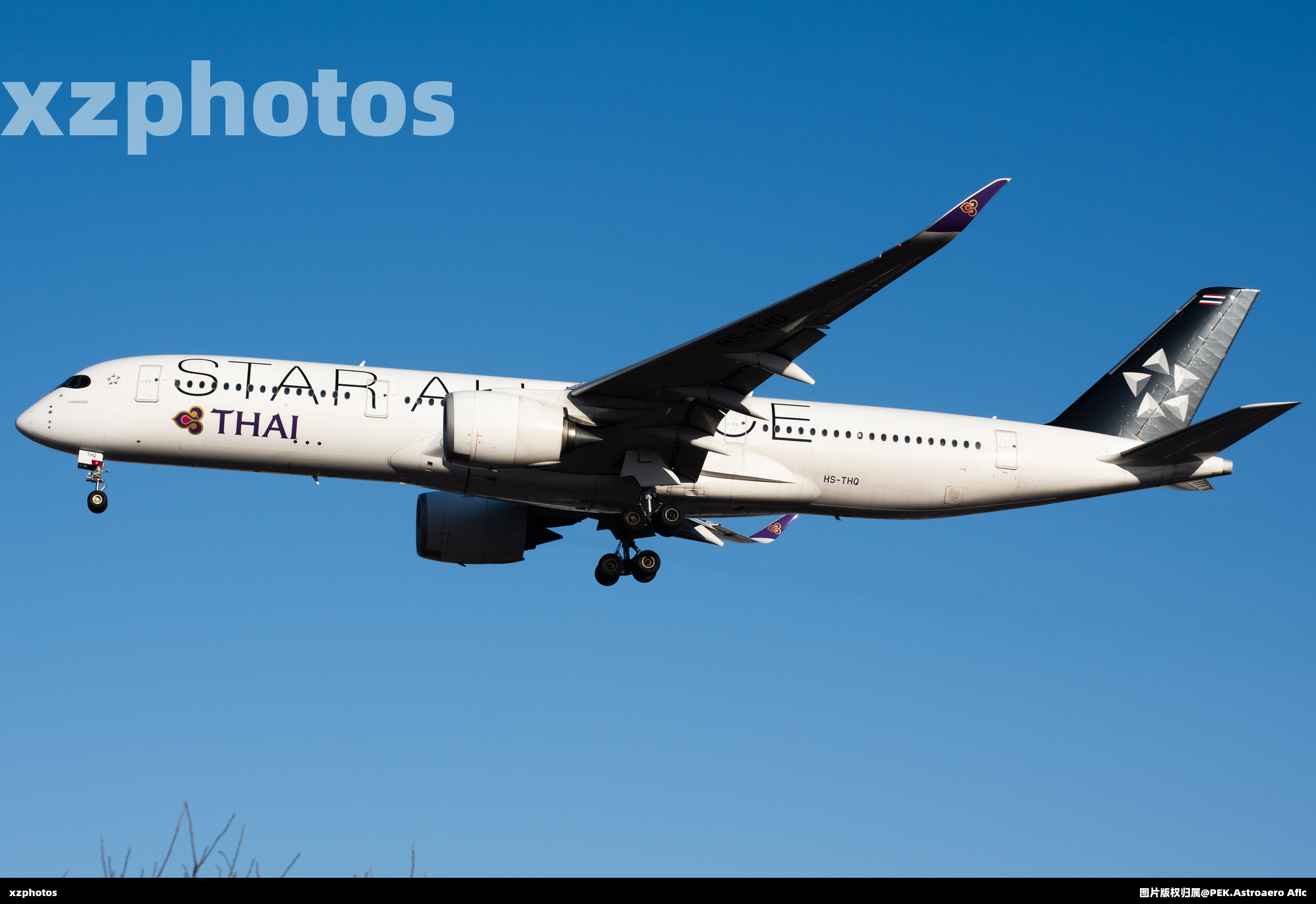 HS-THQ