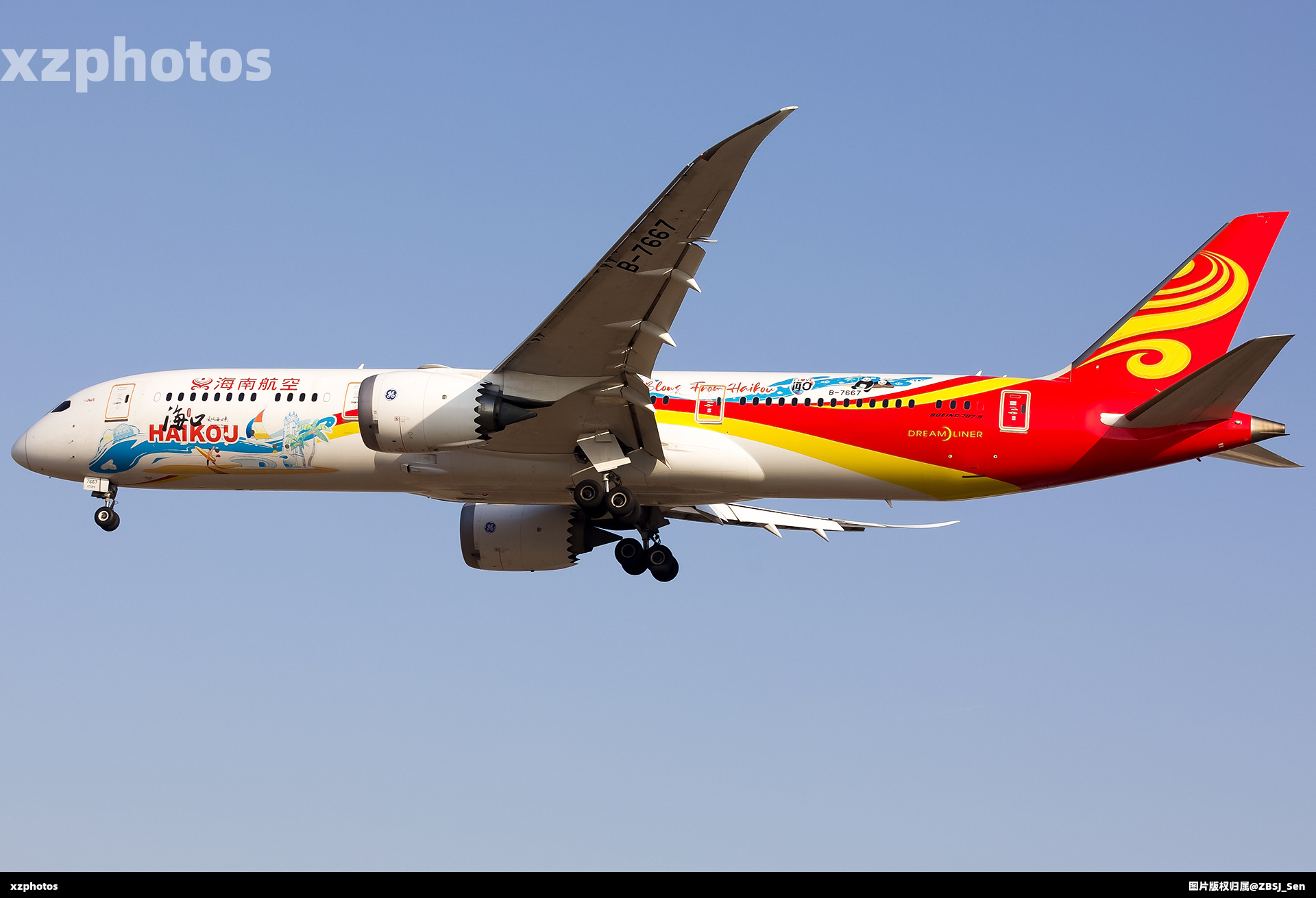 B-7667
