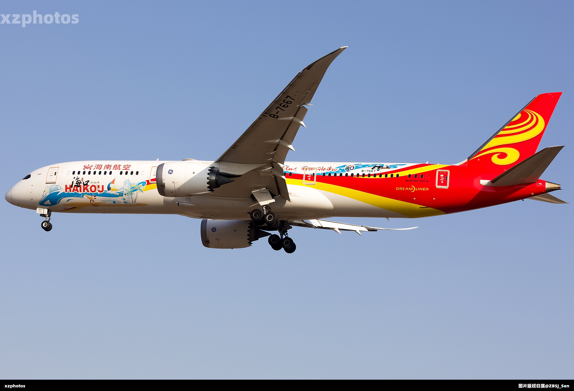 B-7667