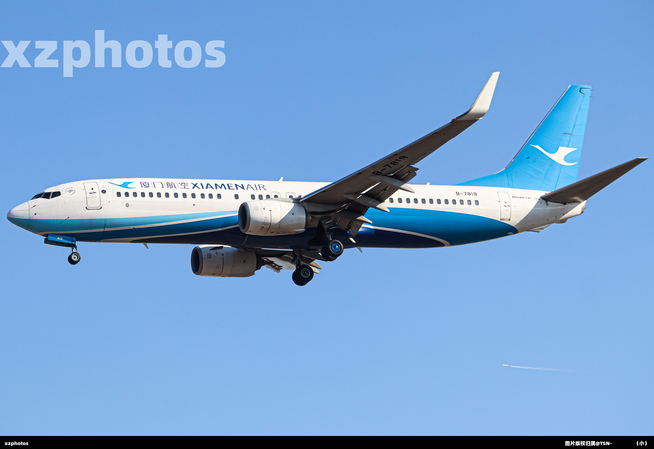 B-7819