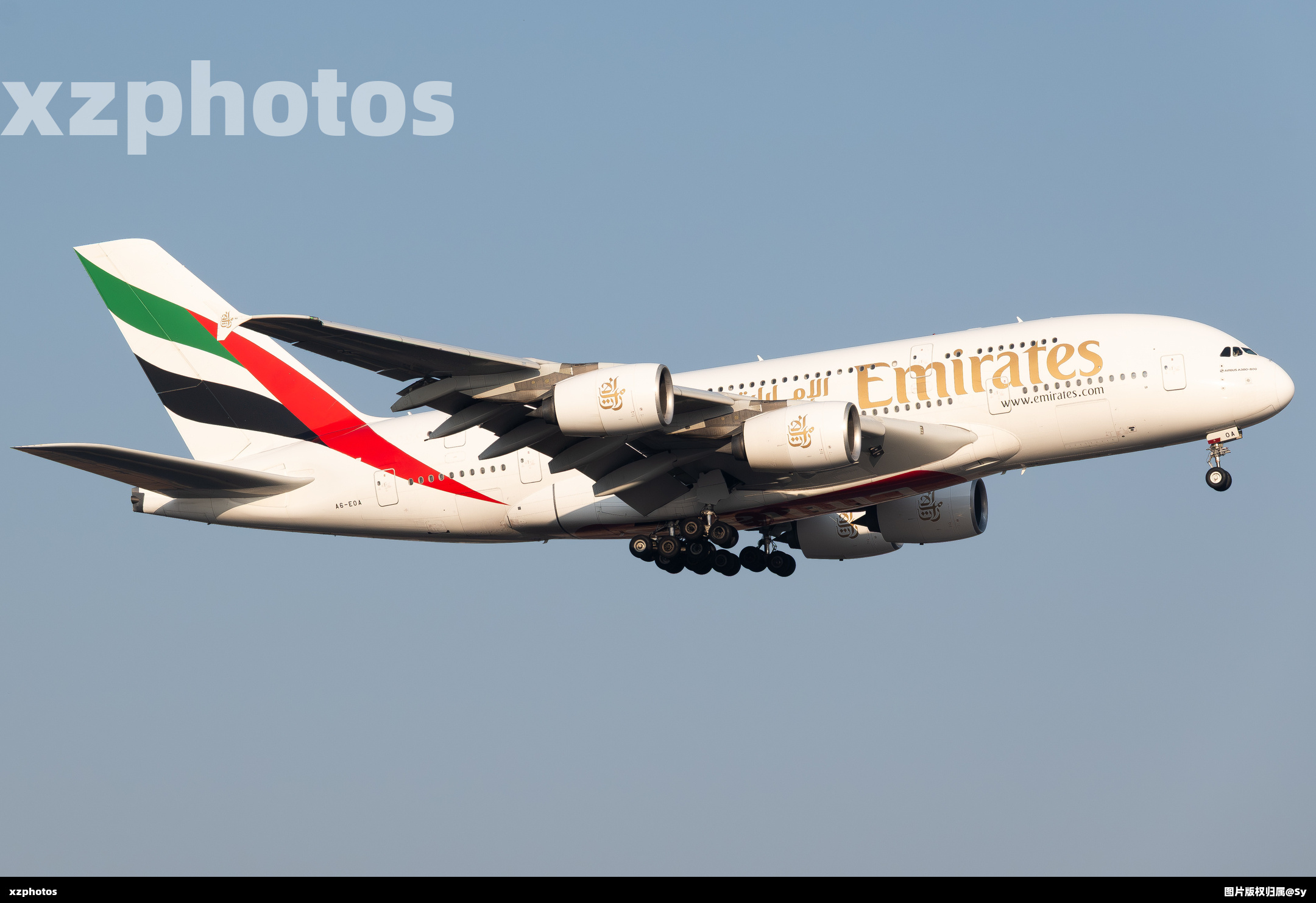 A6-EOA