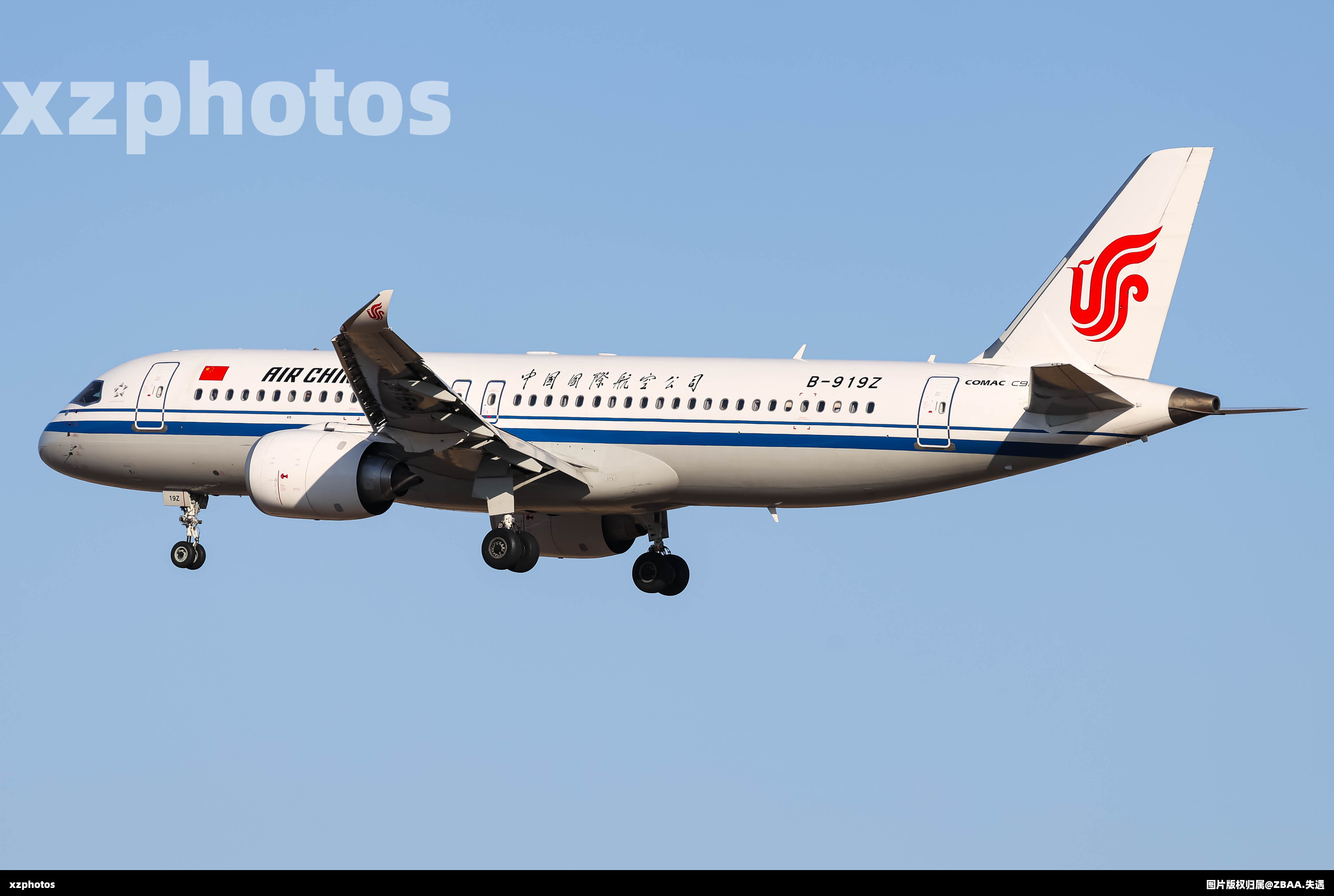 B-919Z