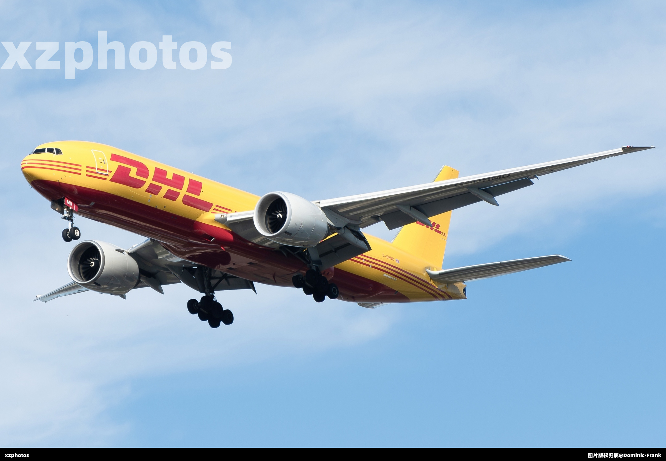 G-DHMD