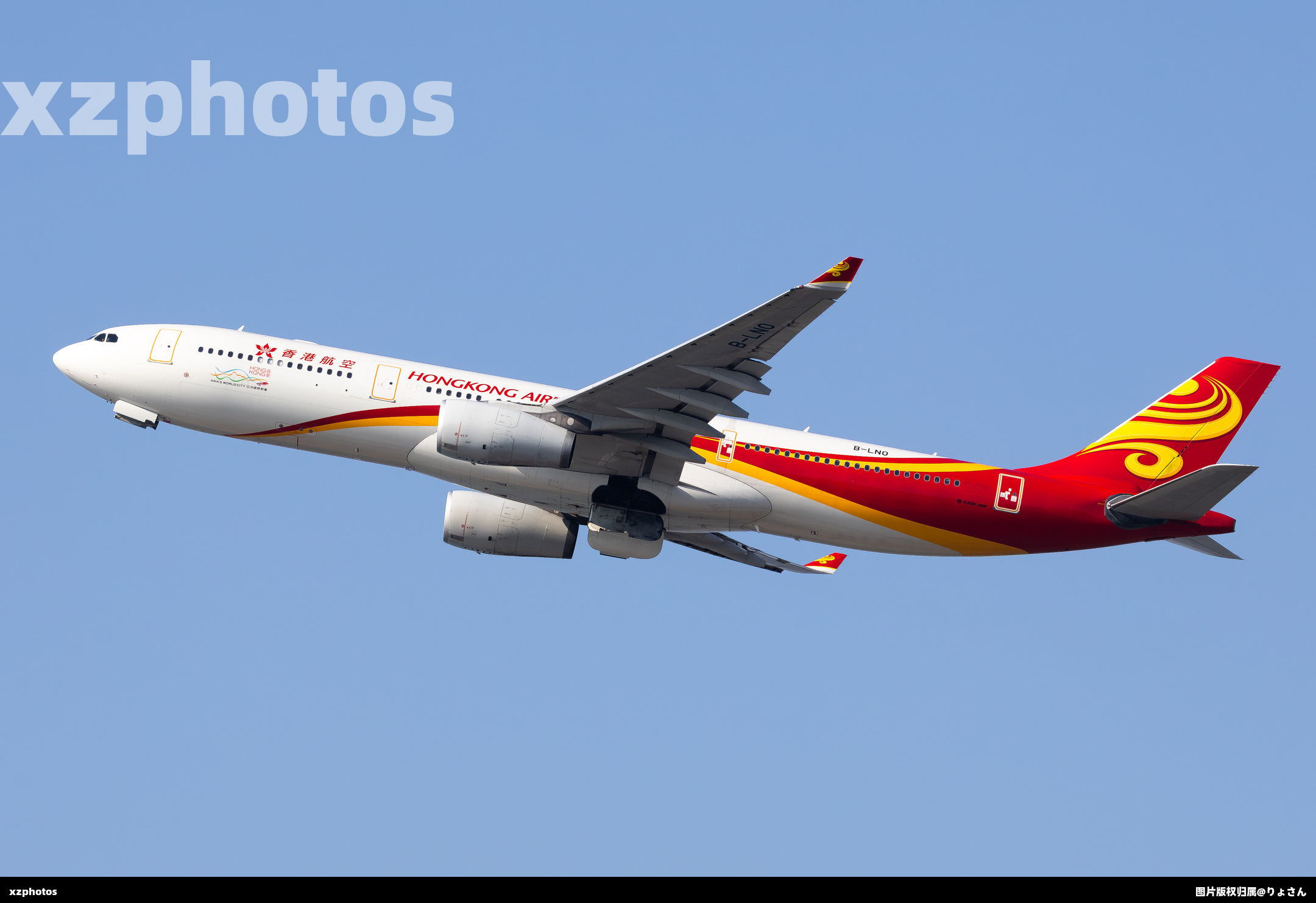 B-LNO