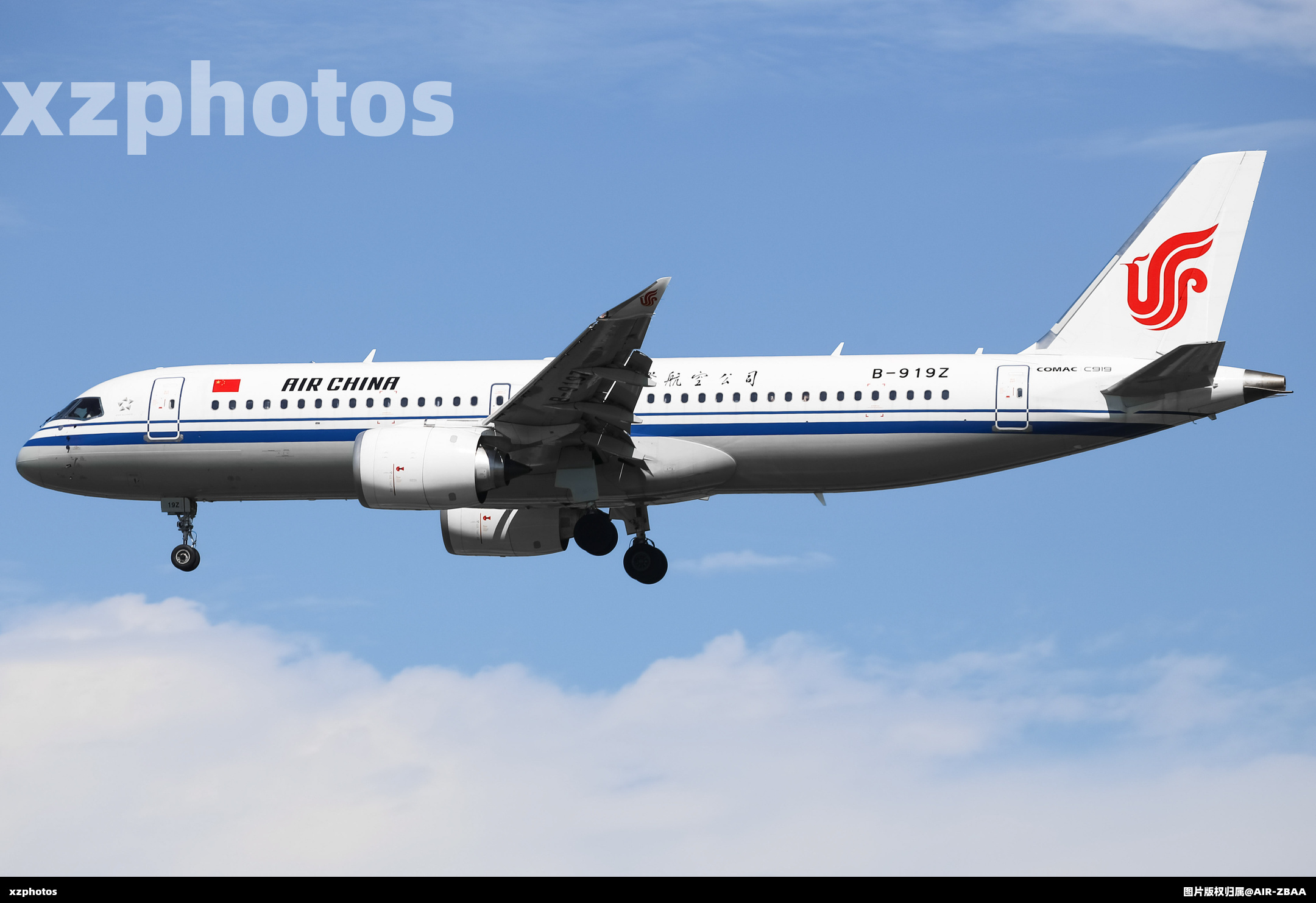 B-919Z