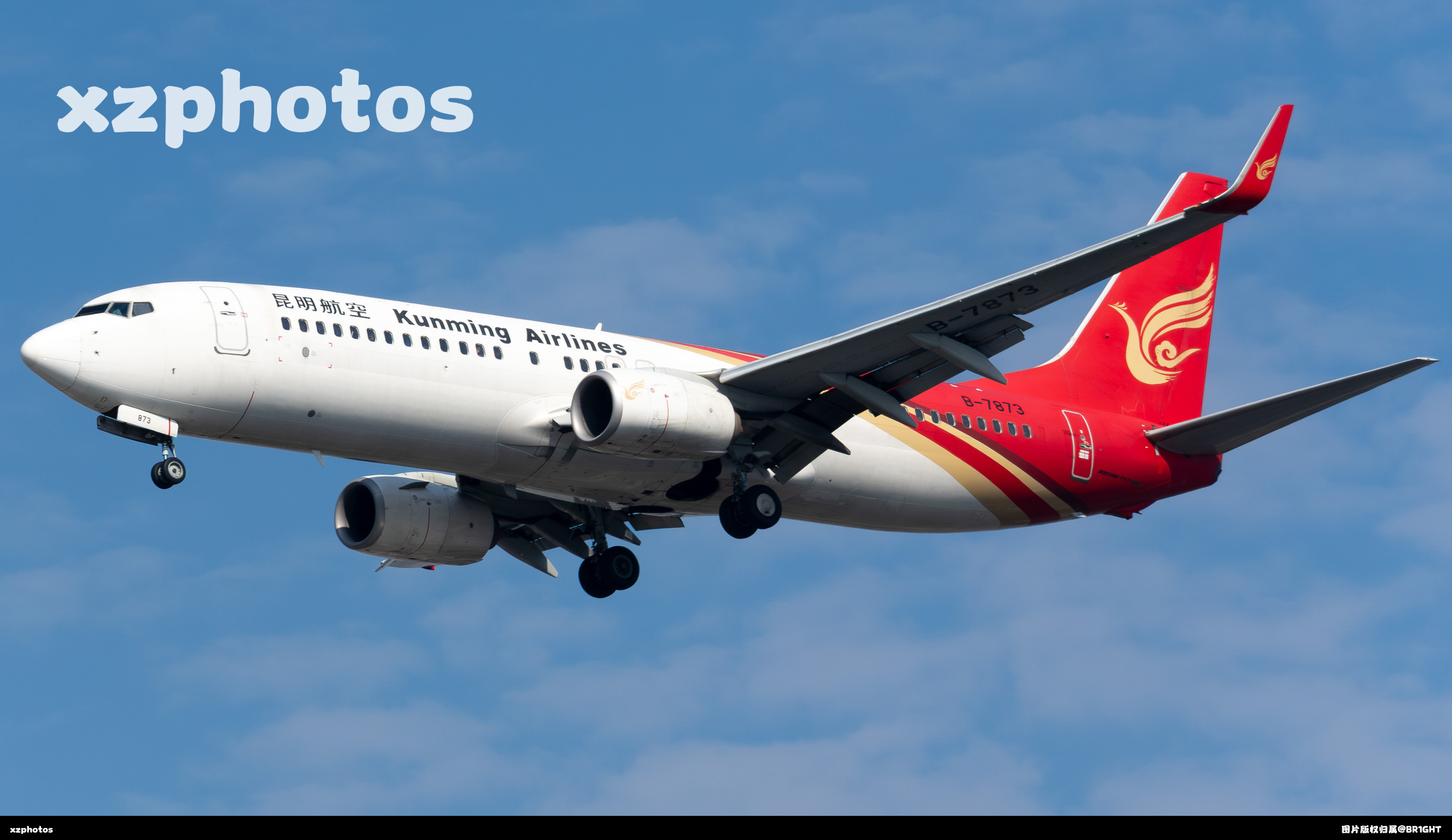 B-7873