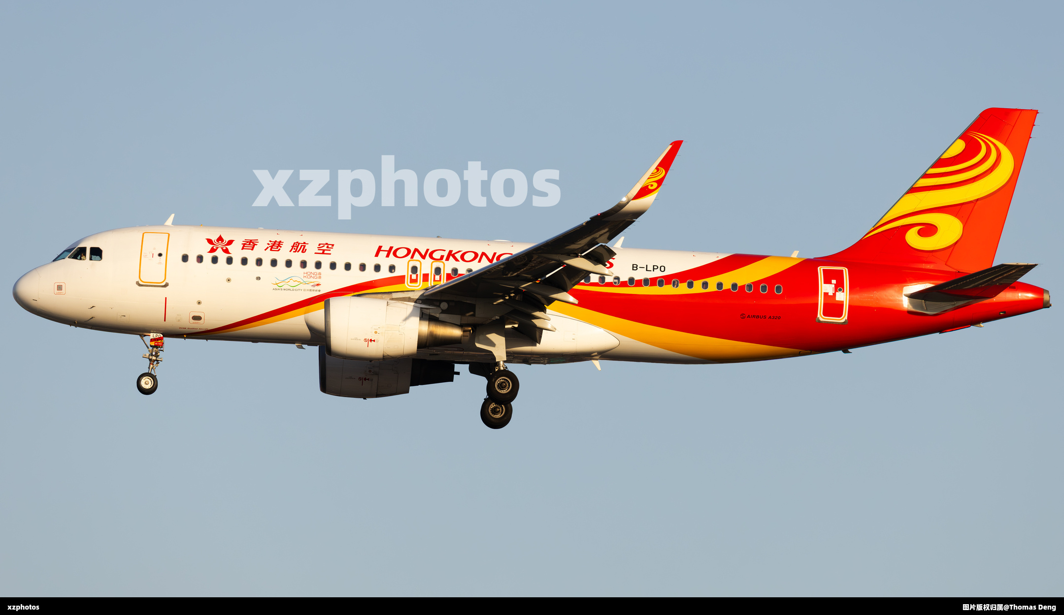 B-LPO