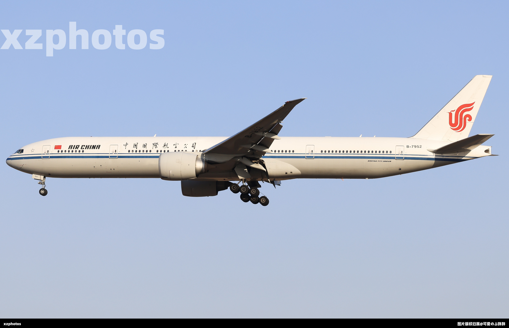 B-7952