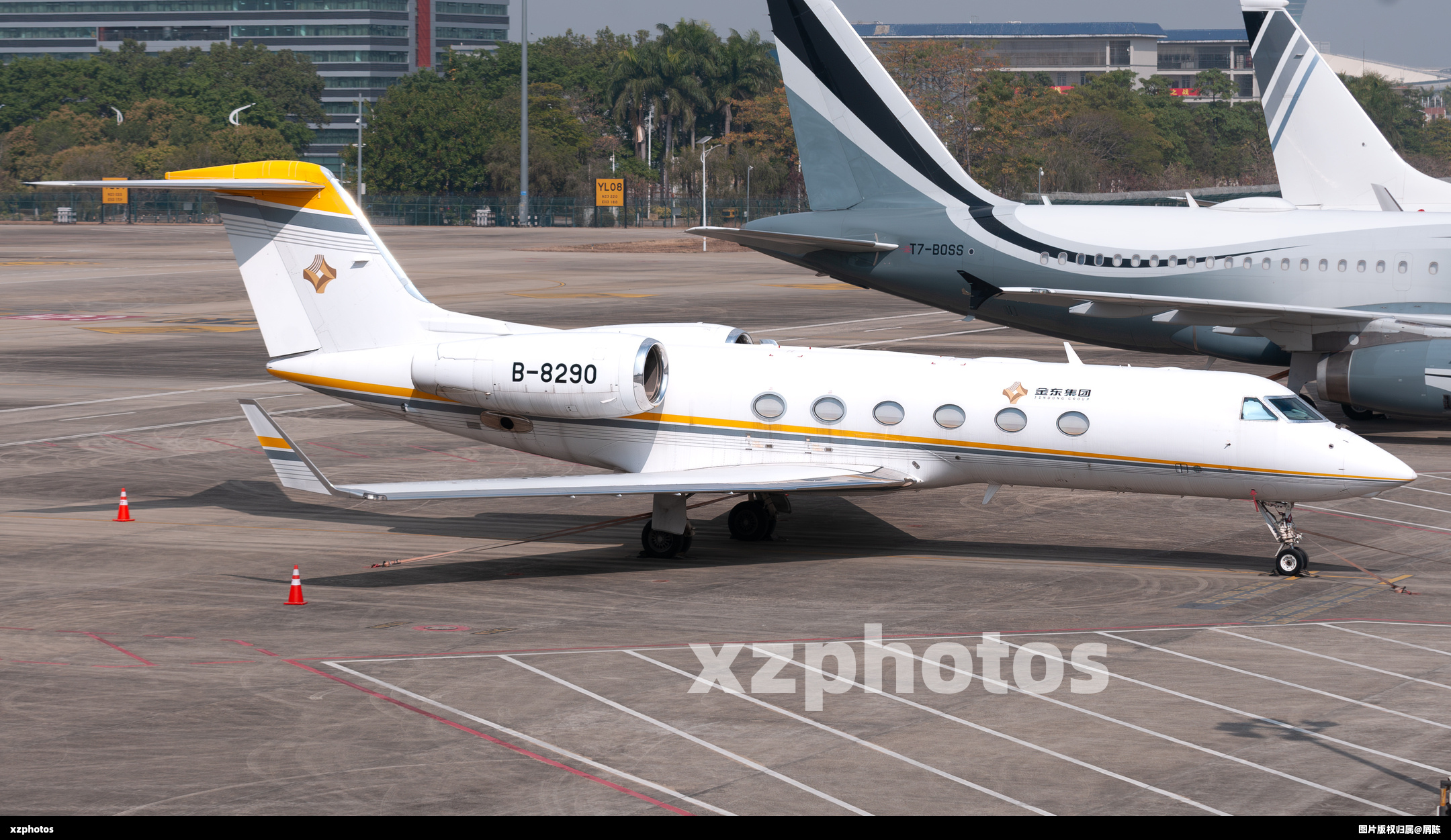 B-8290
