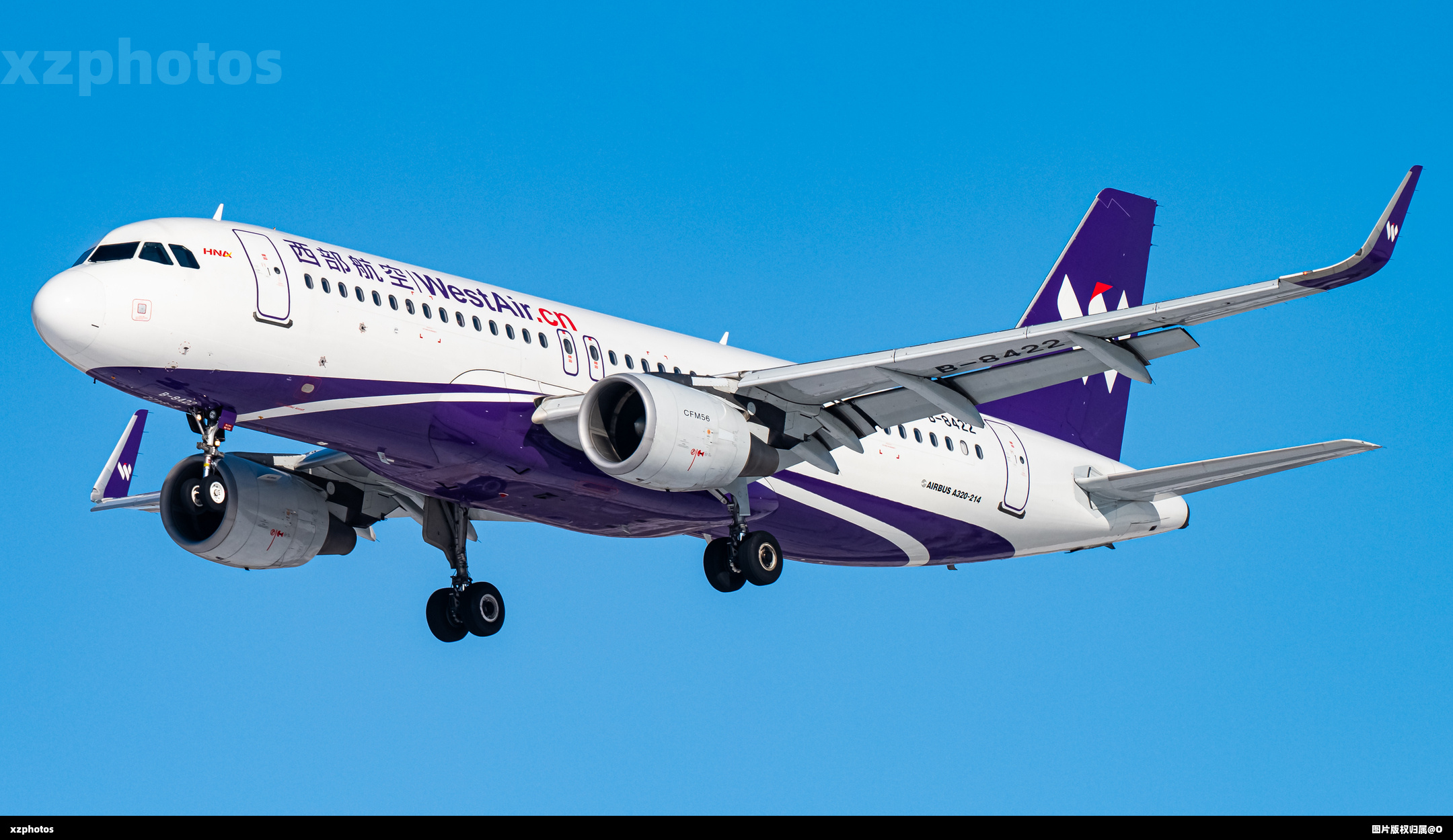 B8422