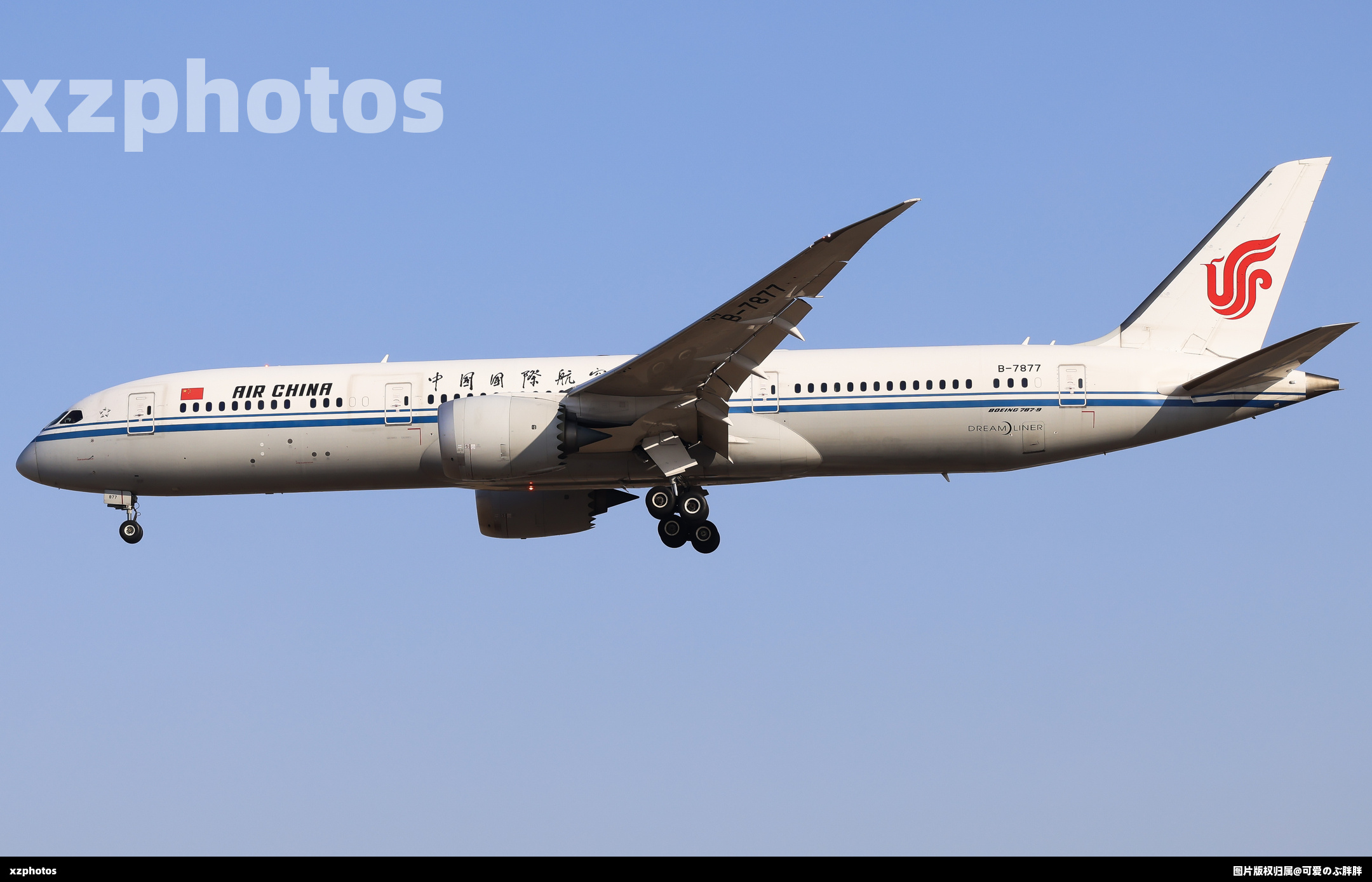 B-7877