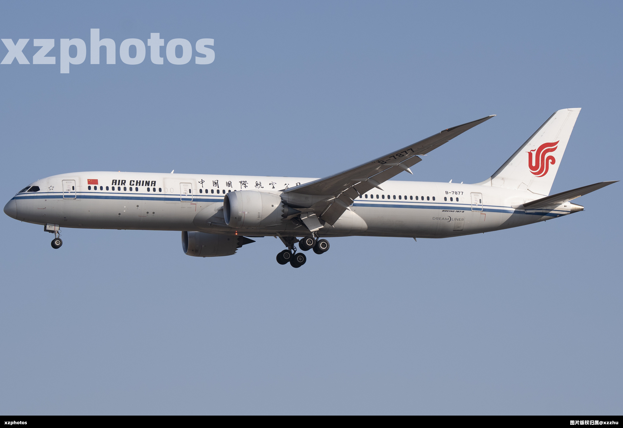 b-7877