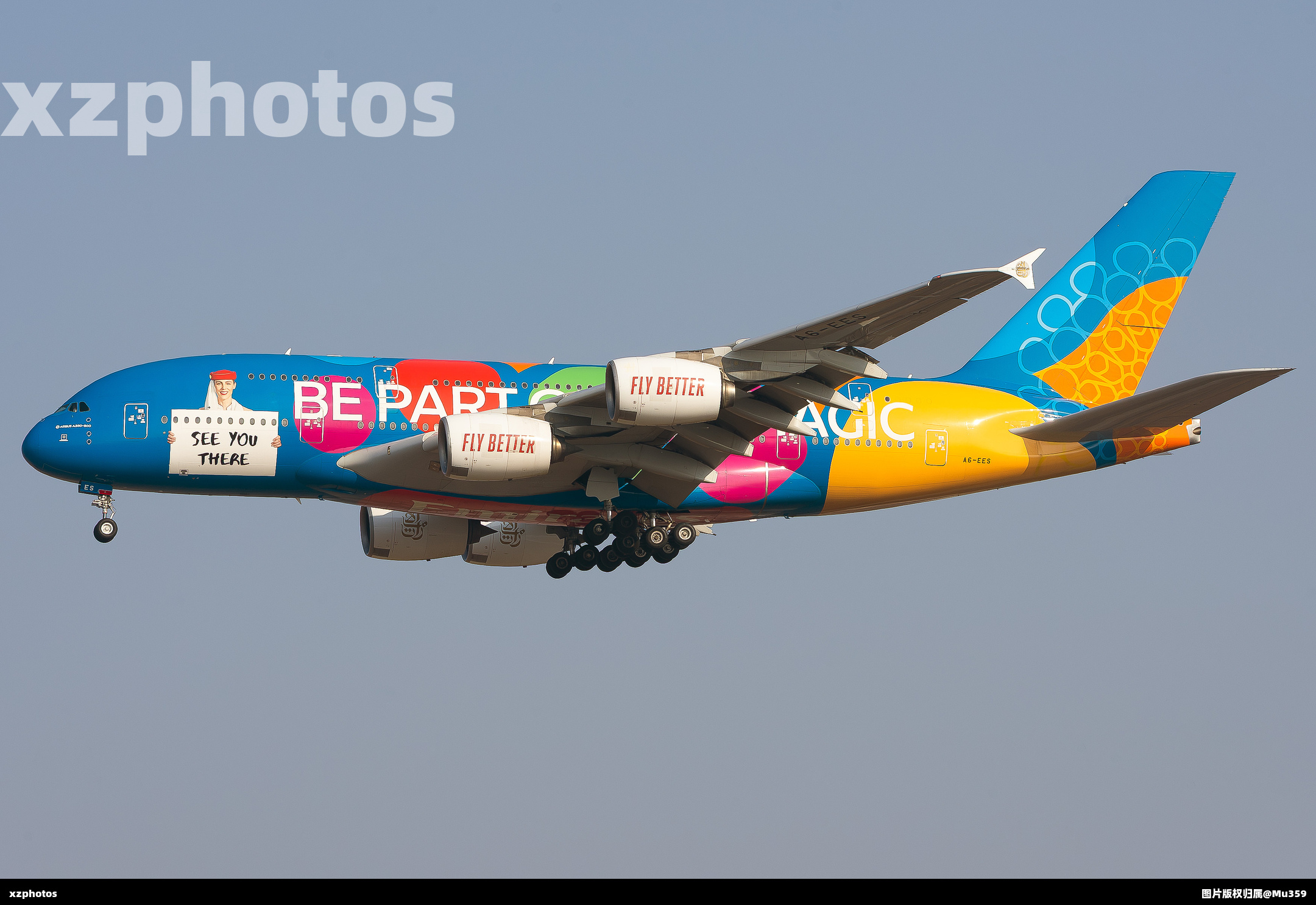 A6-EES