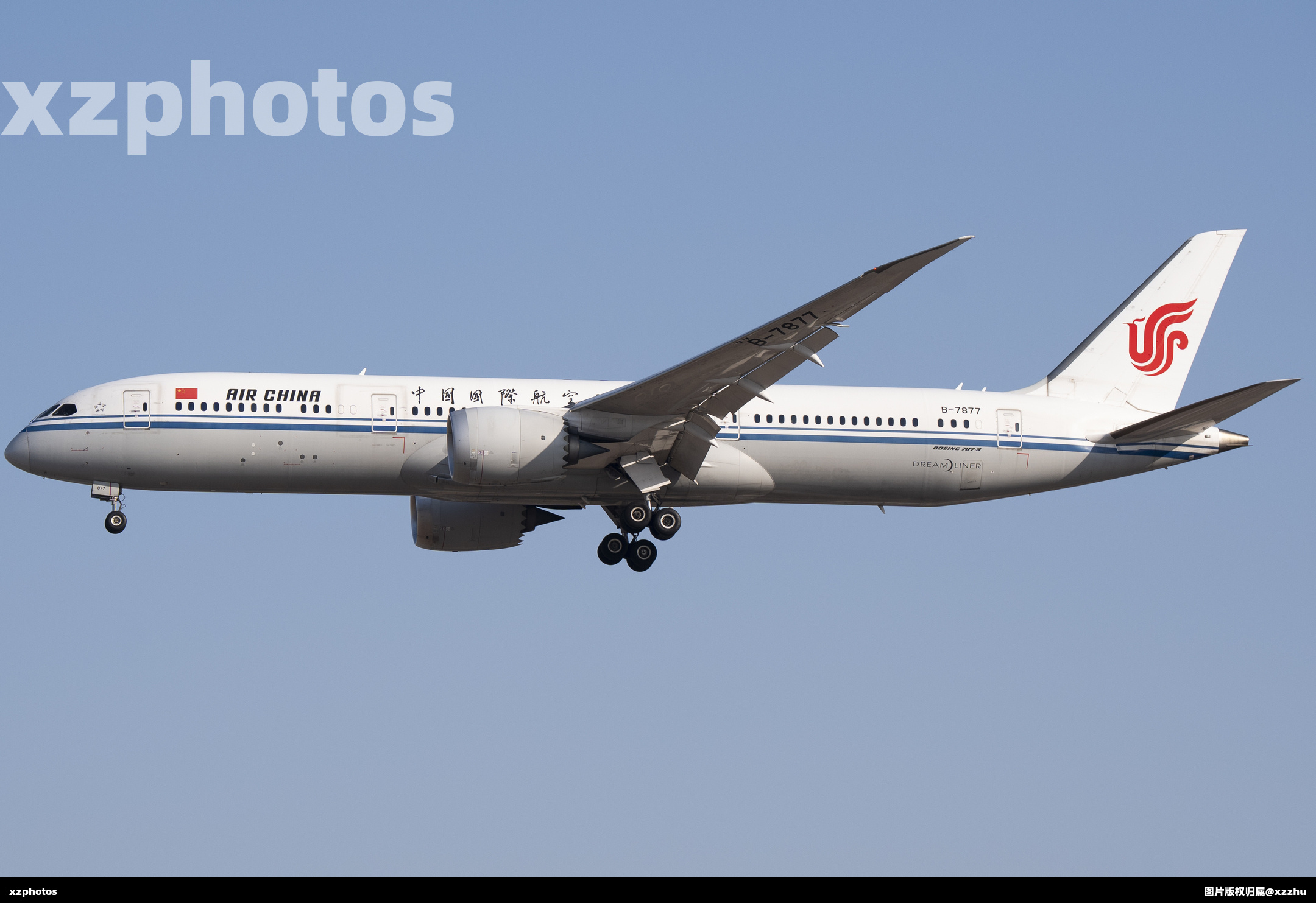 B-7877