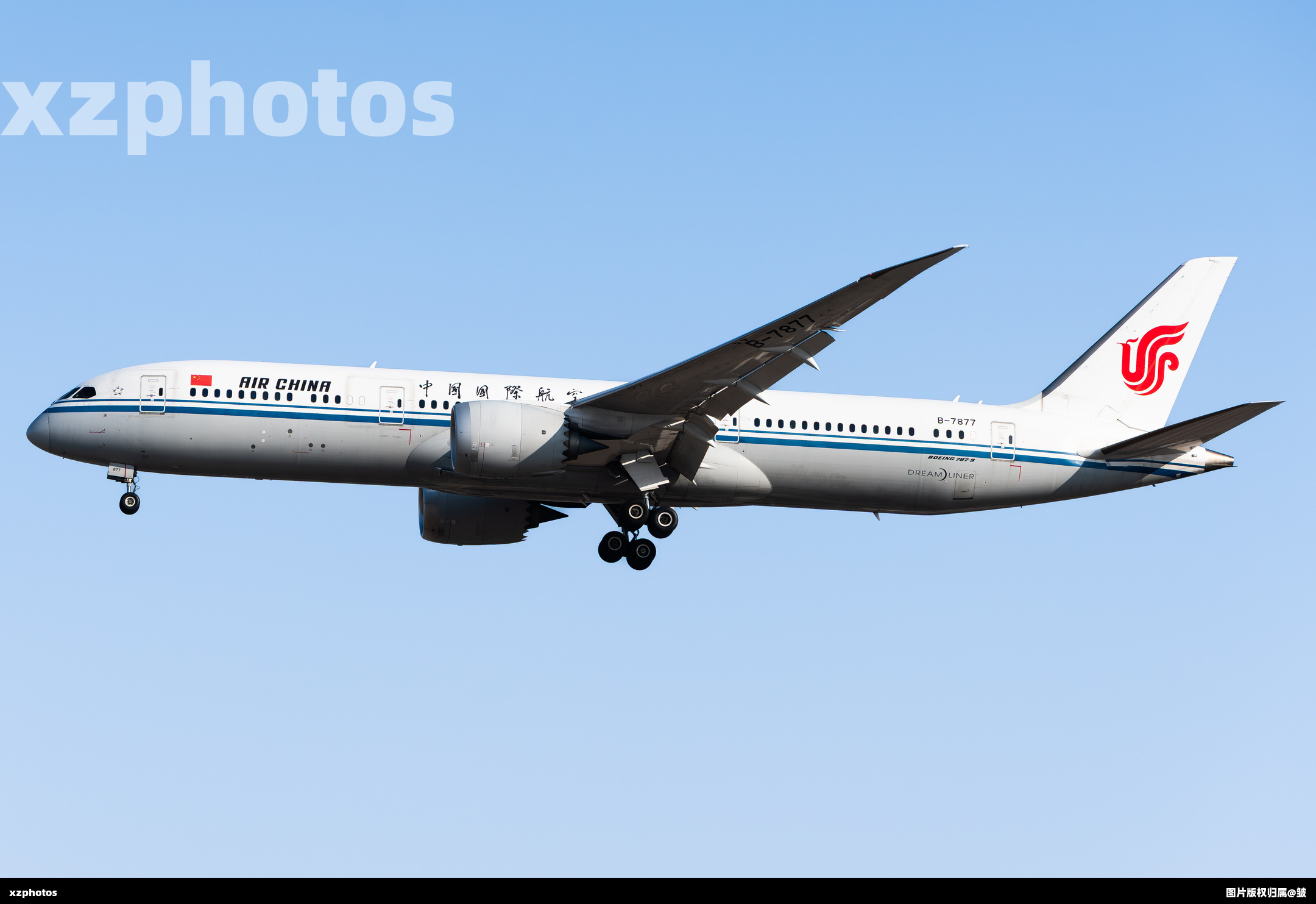 B-7877