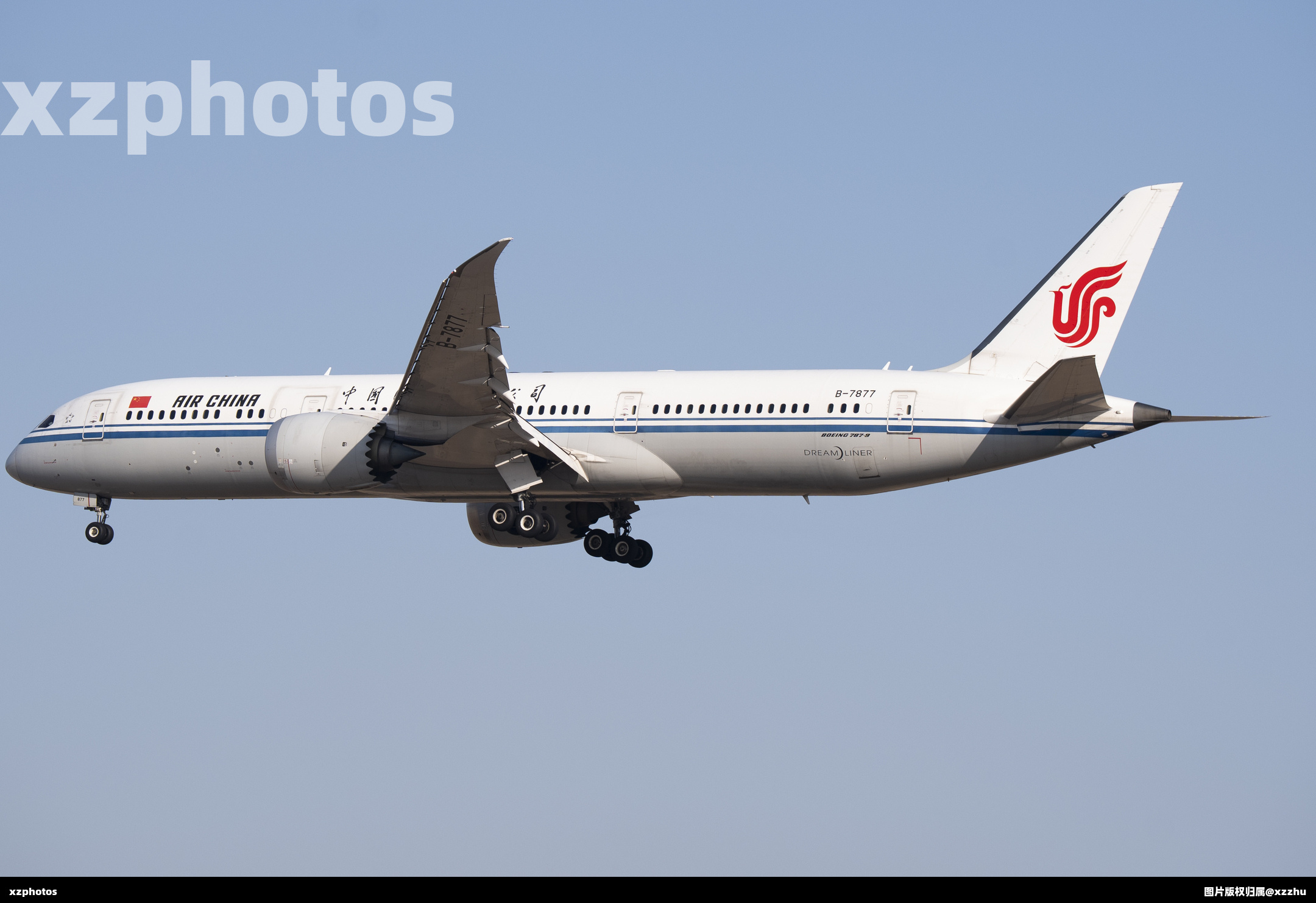 B-7877