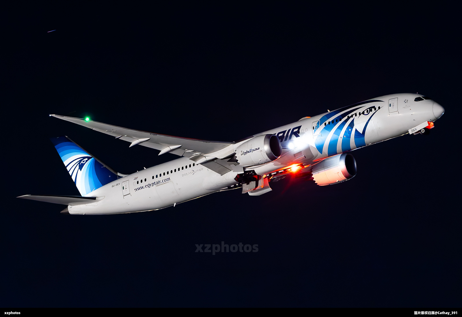 埃及航空接收首架A350-900