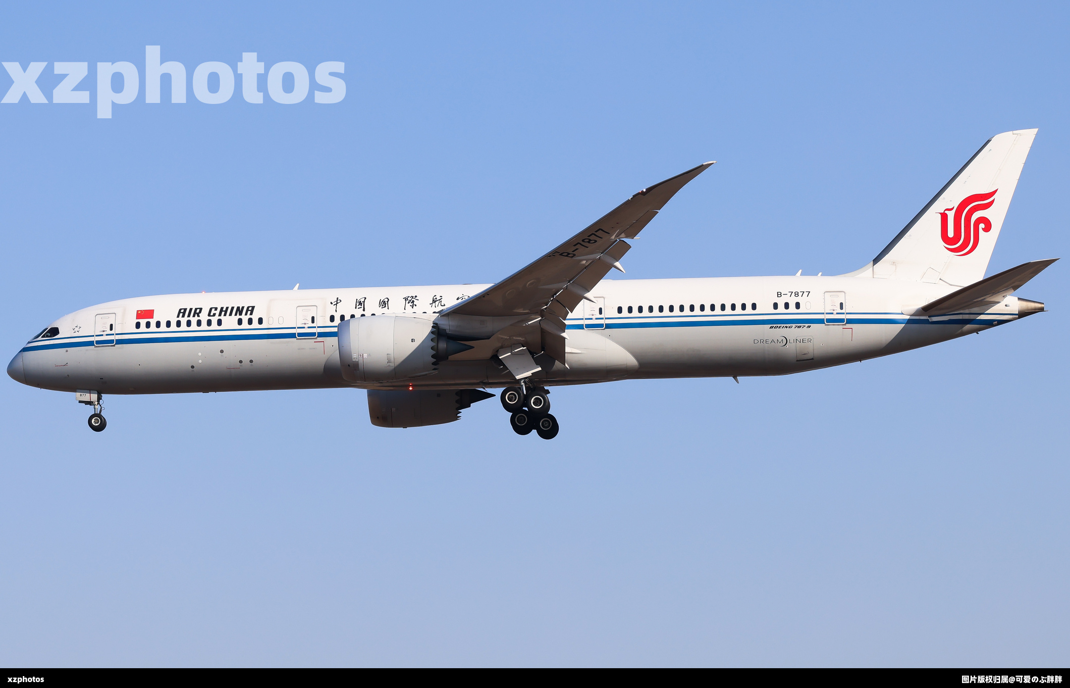 B-7877