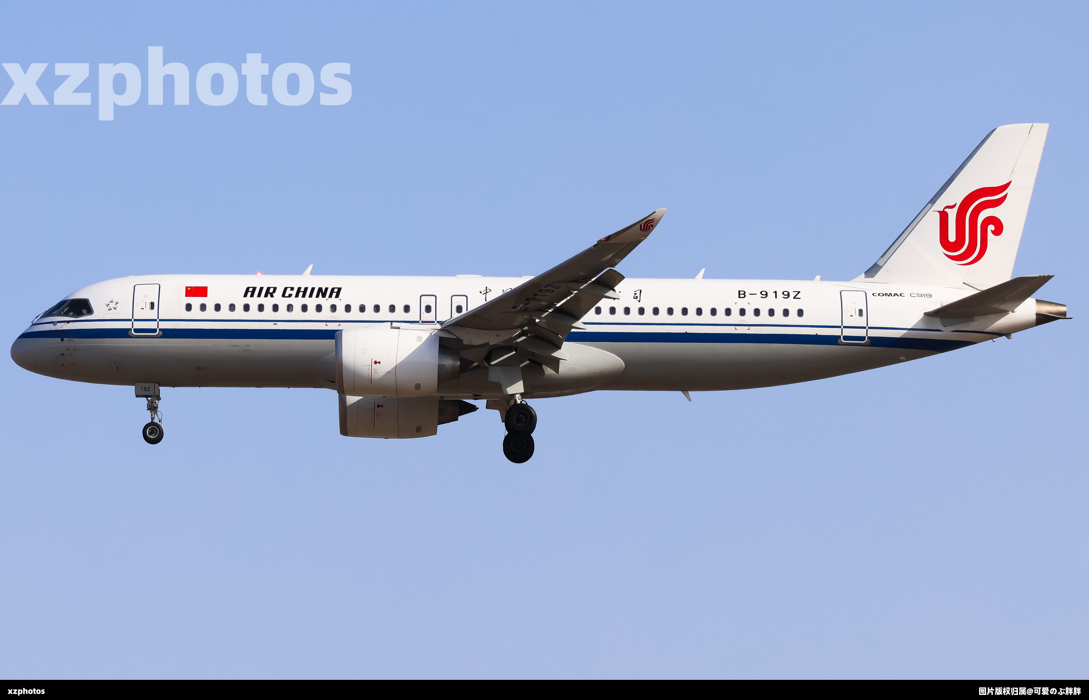 B-919Z