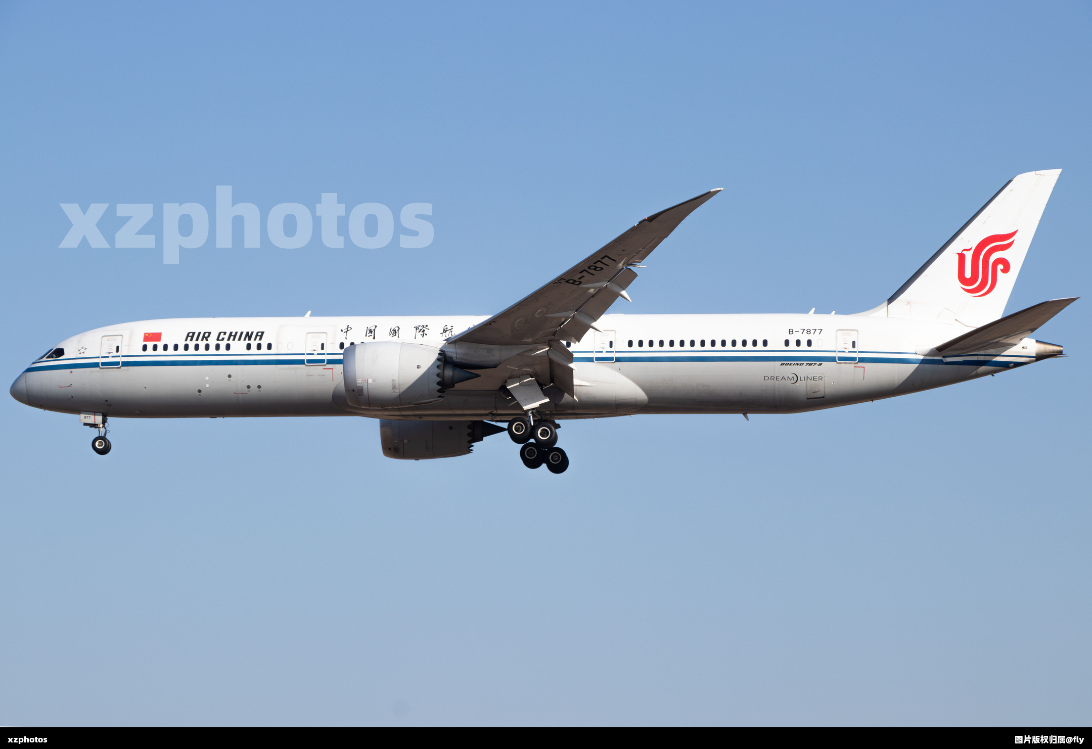 B-7877