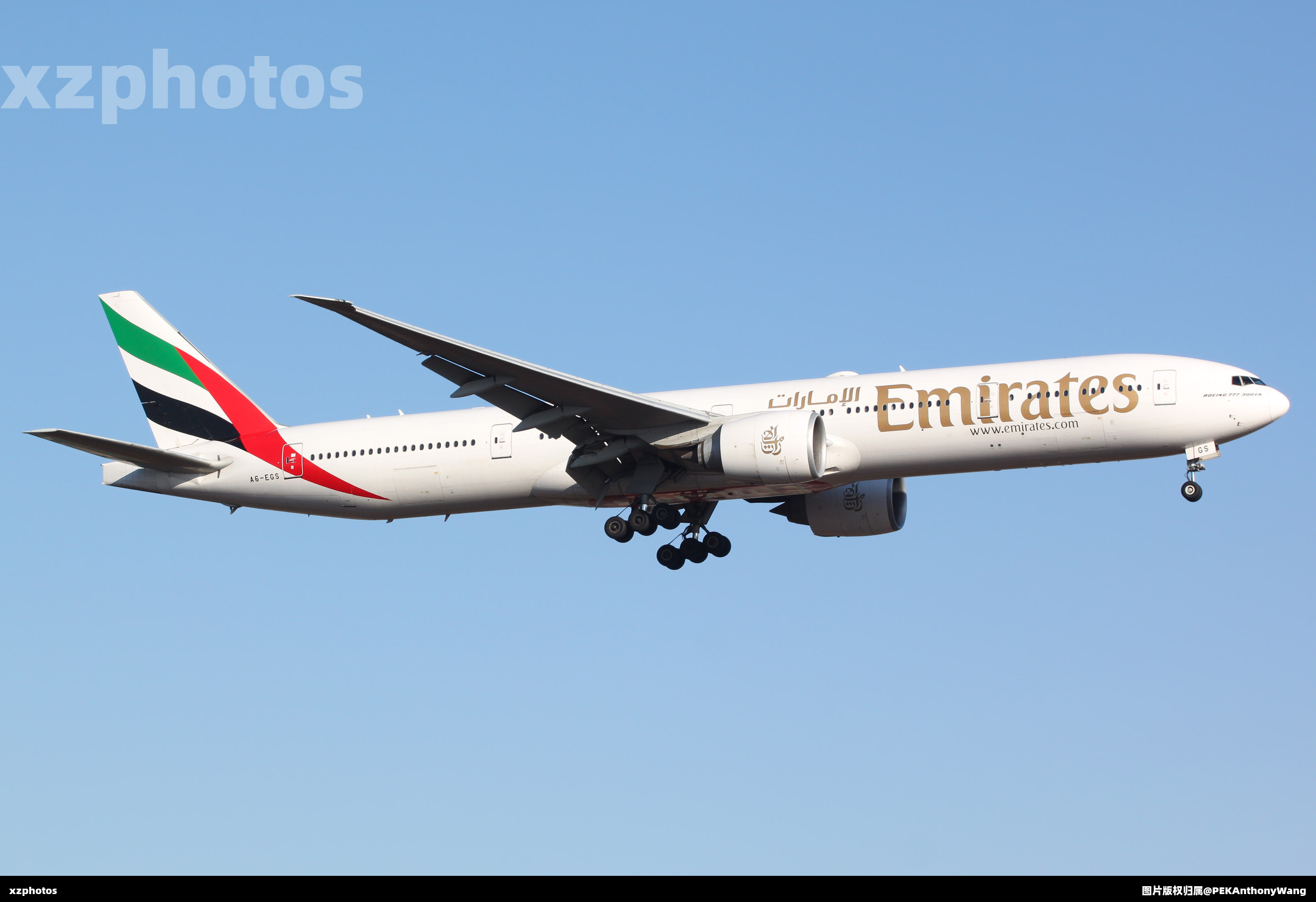 A6-EGS